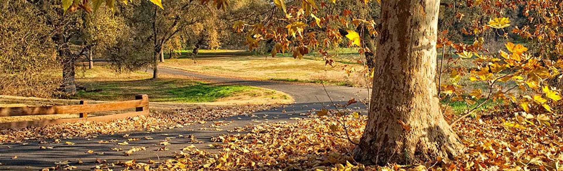 Image of California State Park