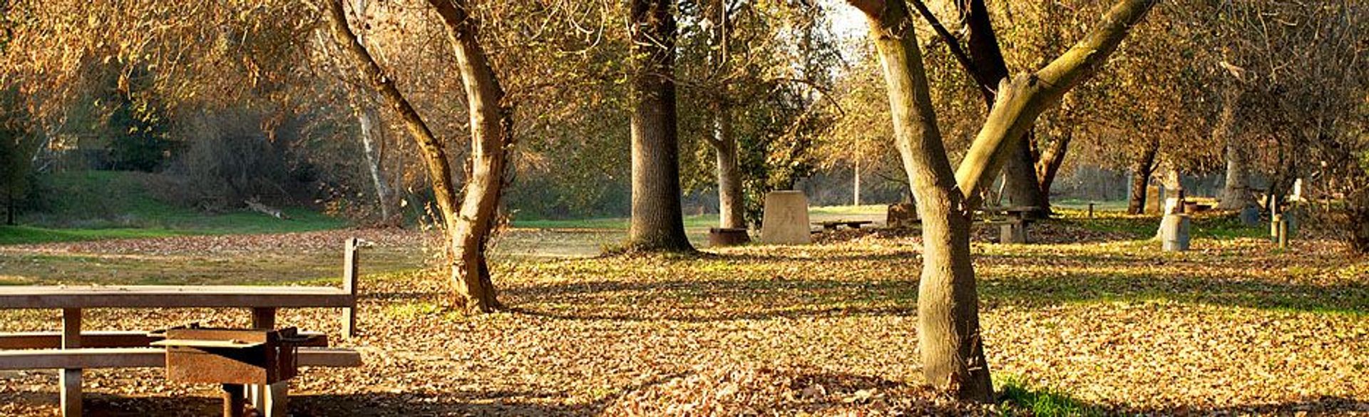 Image of California State Park