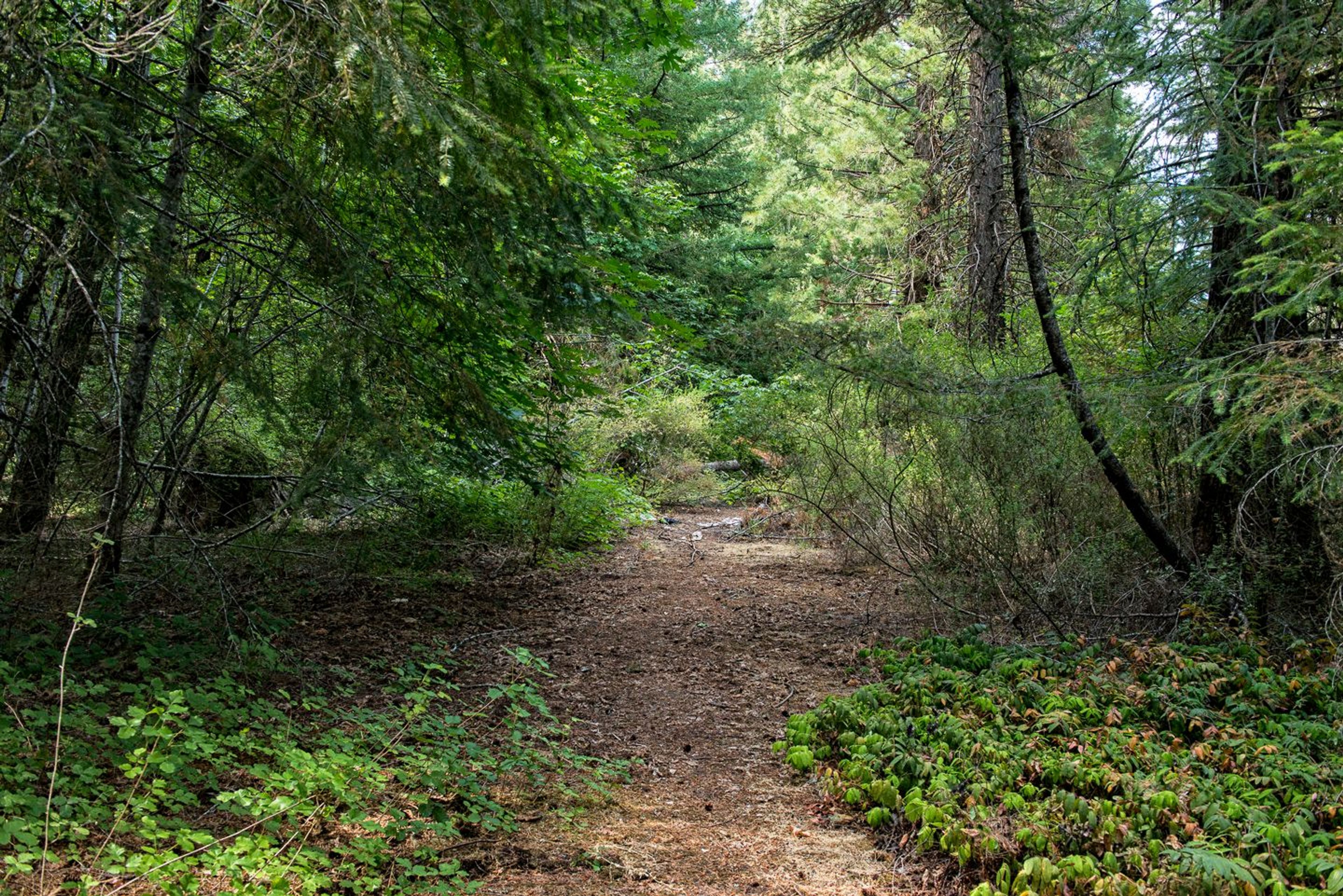 Image of California State Park