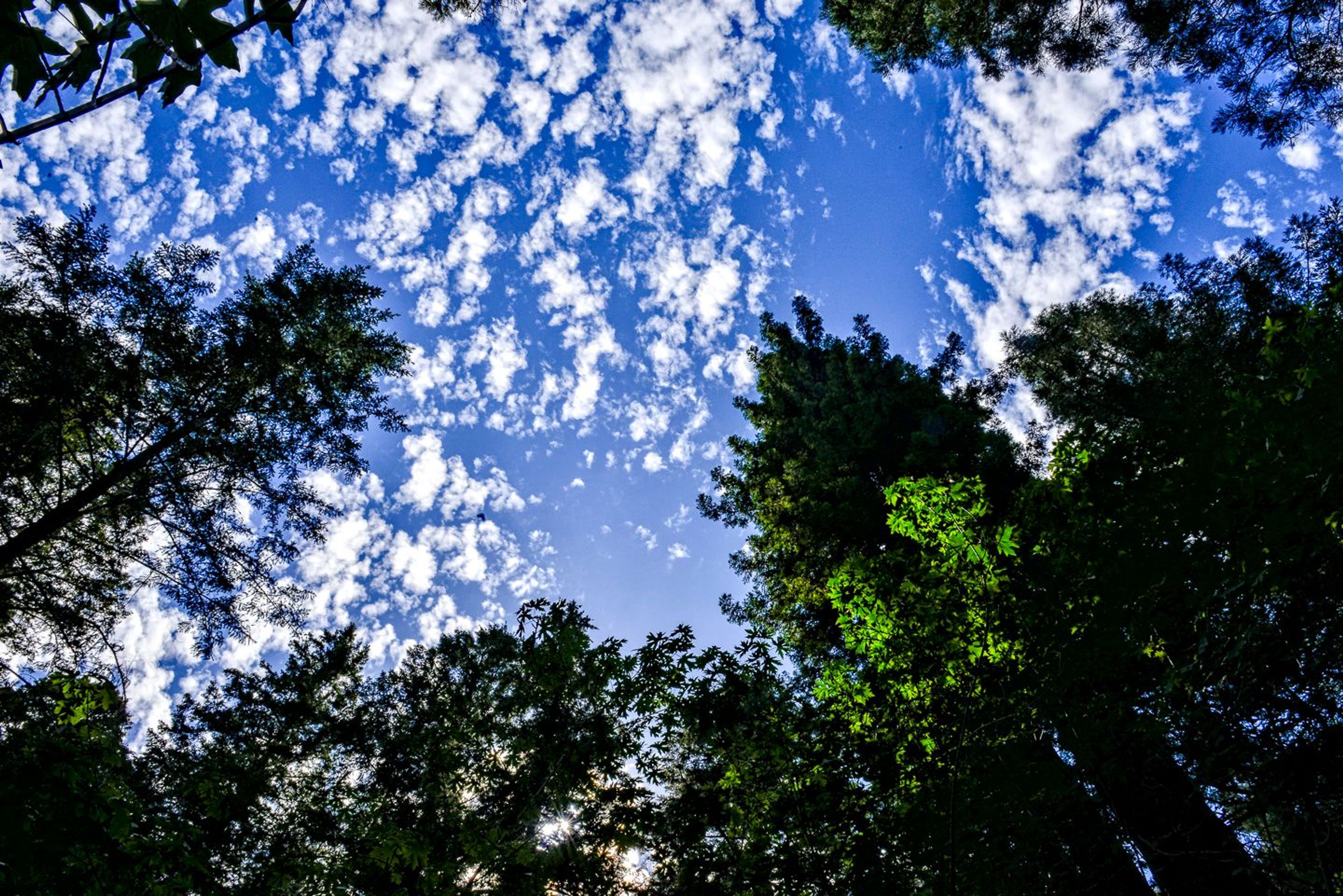 Image of California State Park