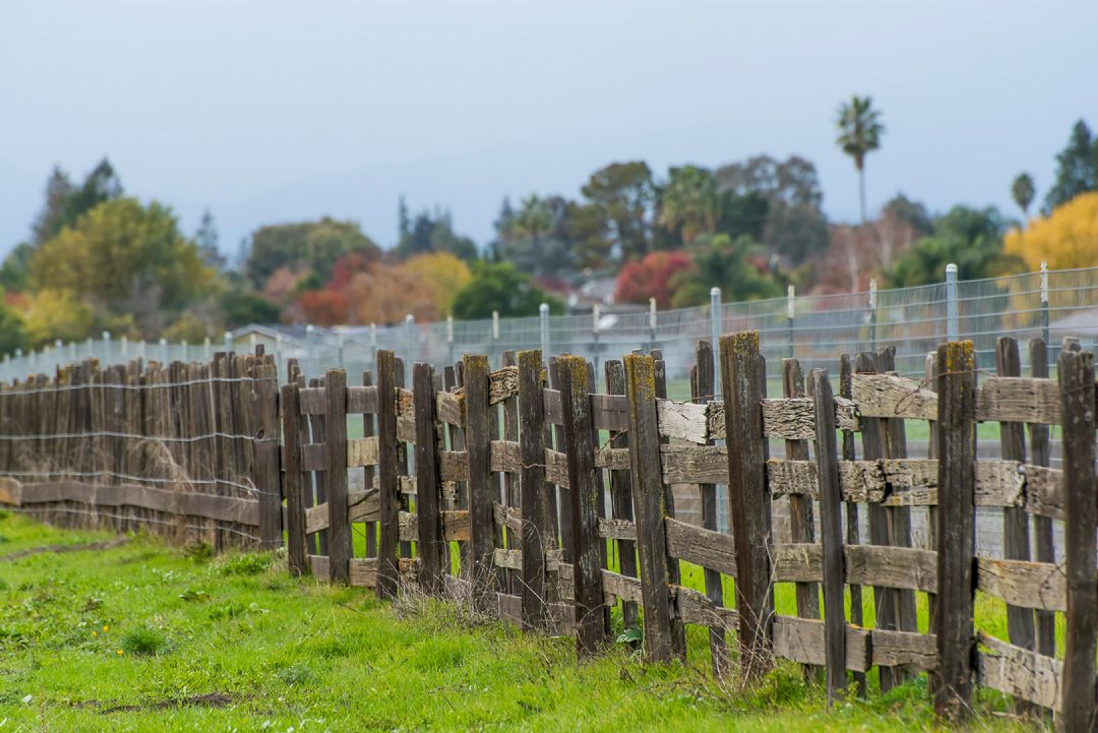 Image of California State Park