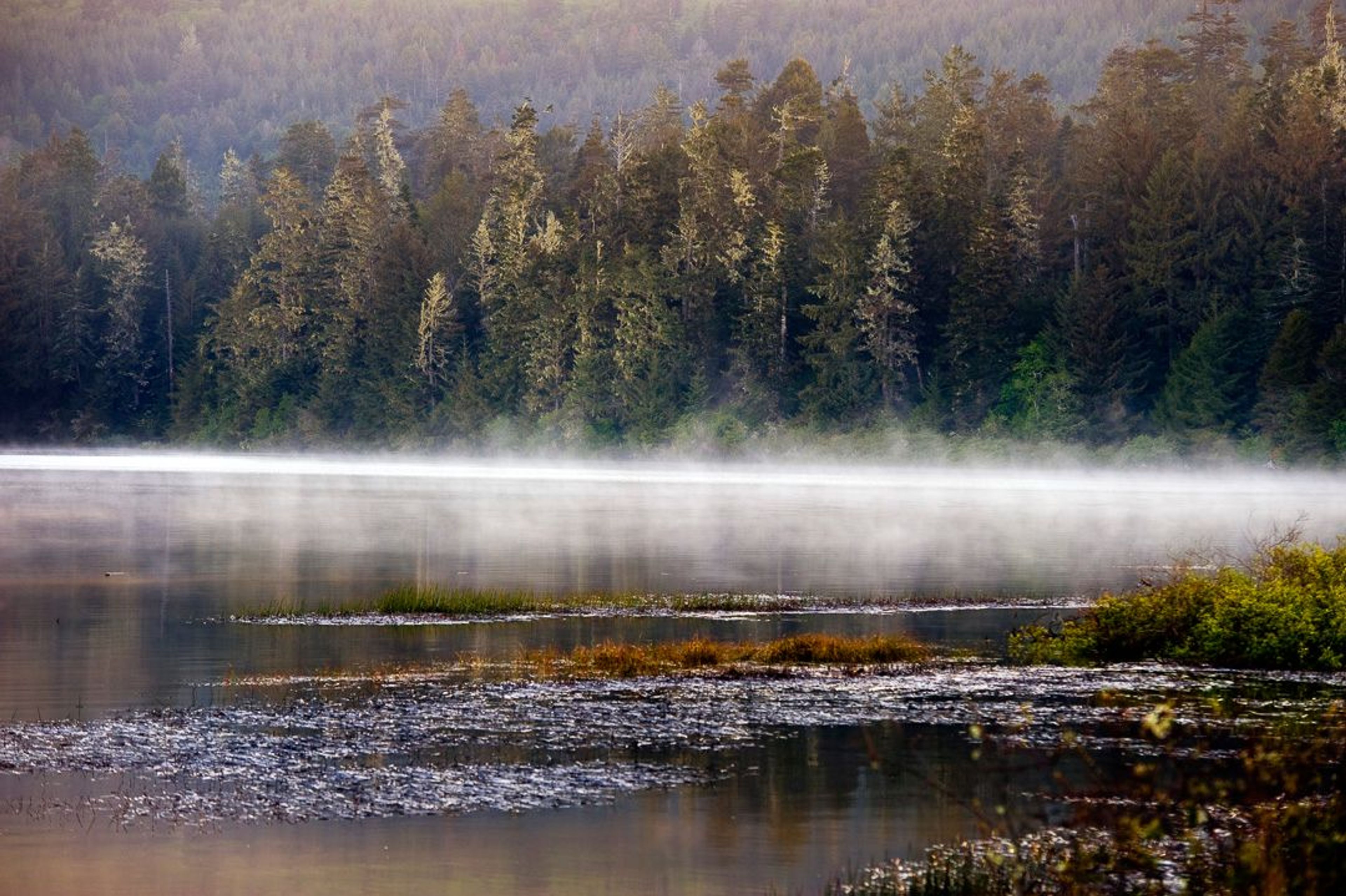 Image of California State Park