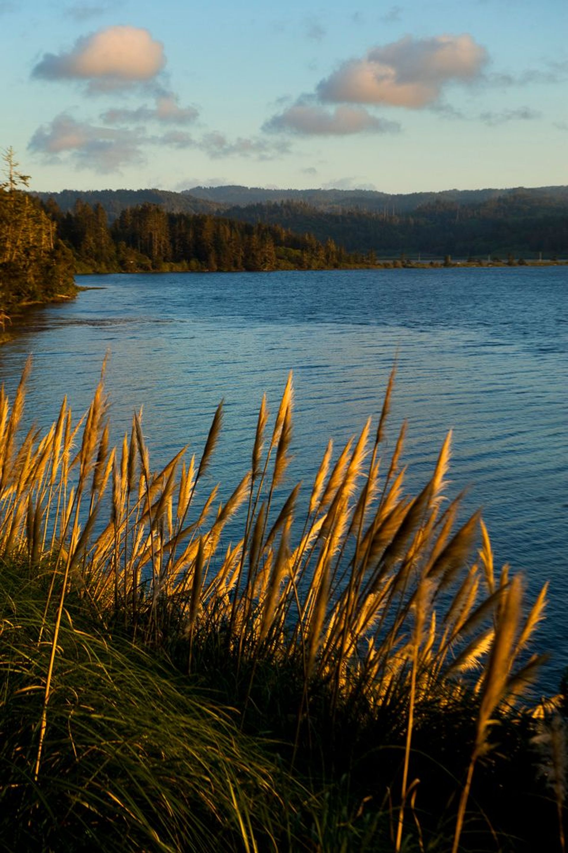 Image of California State Park