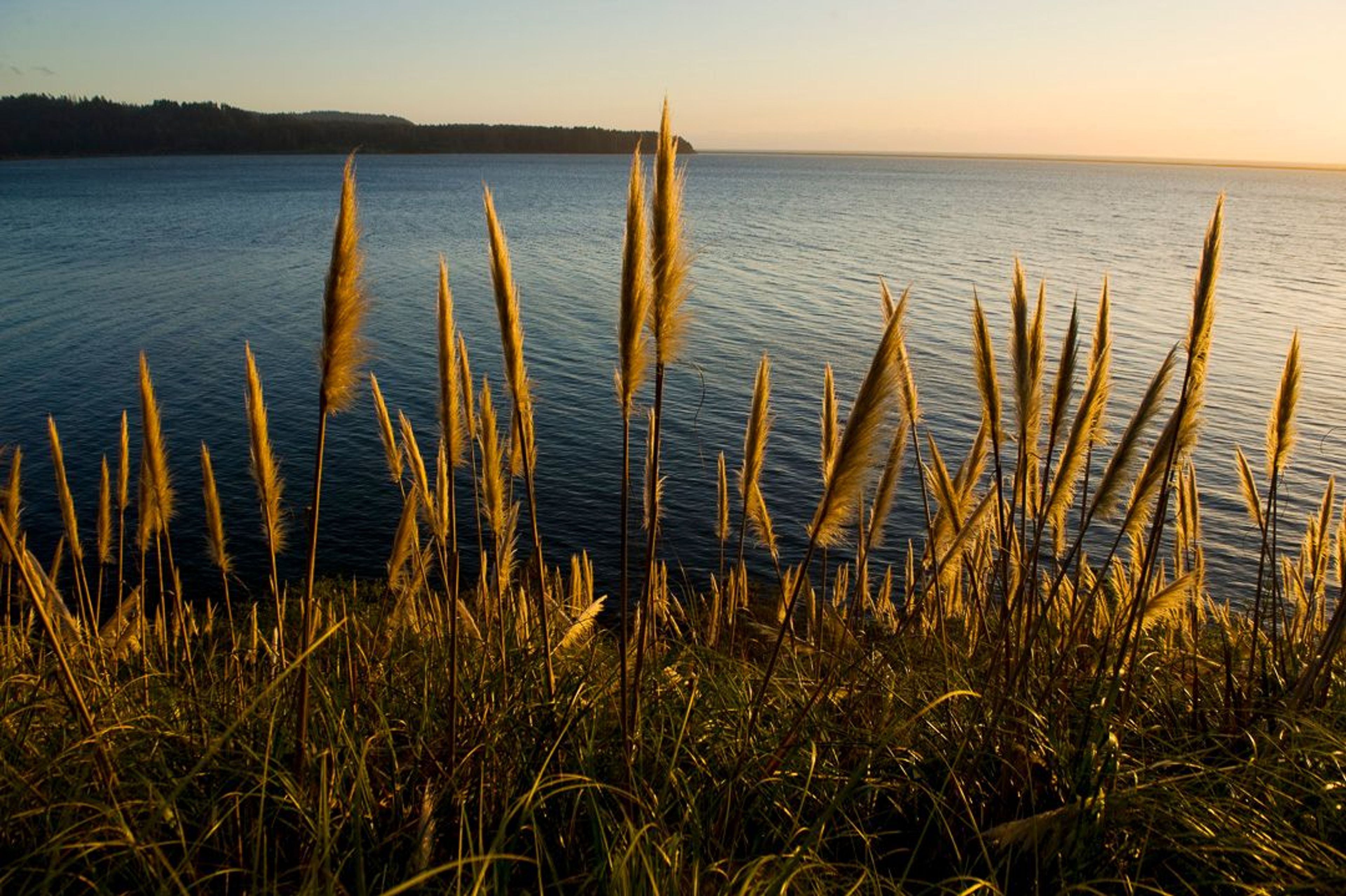 Image of California State Park