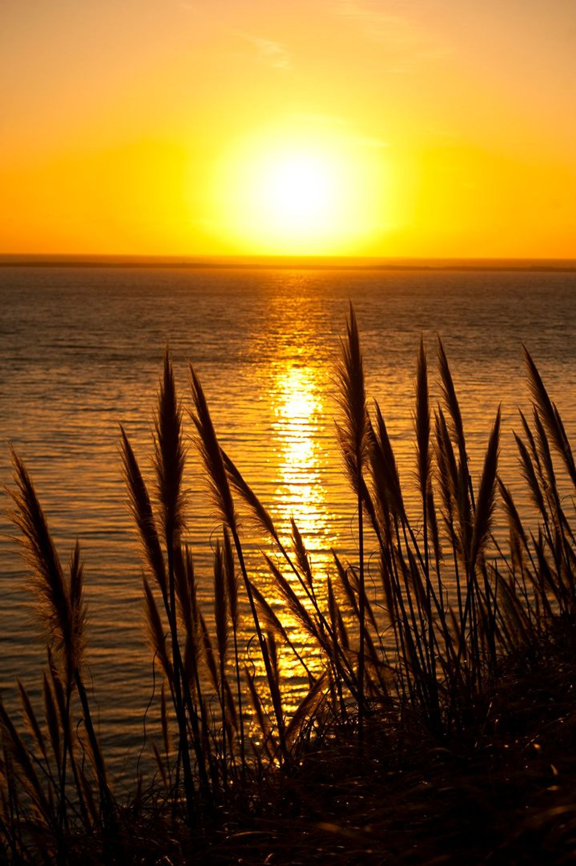 Image of California State Park