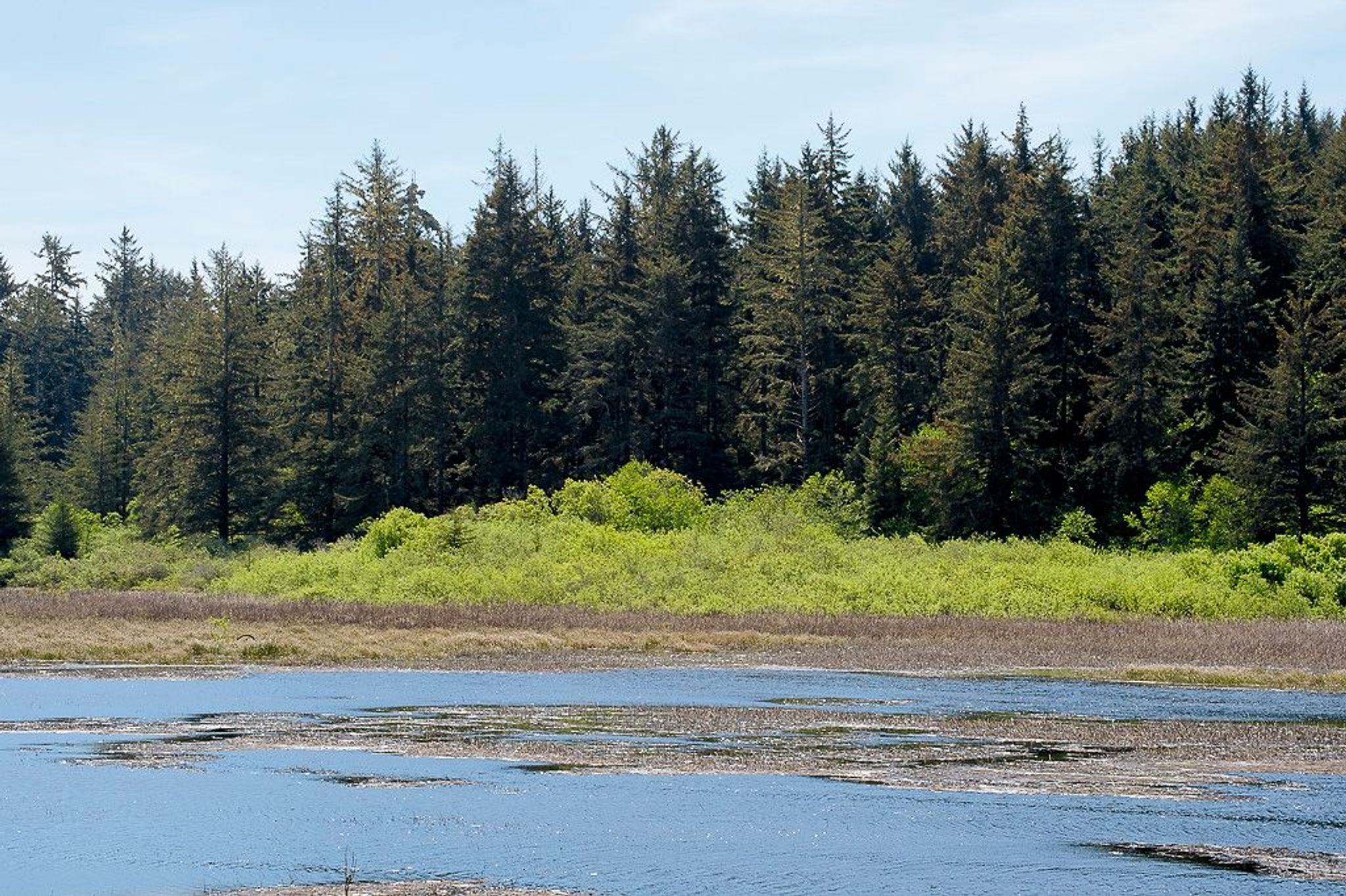 Image of California State Park