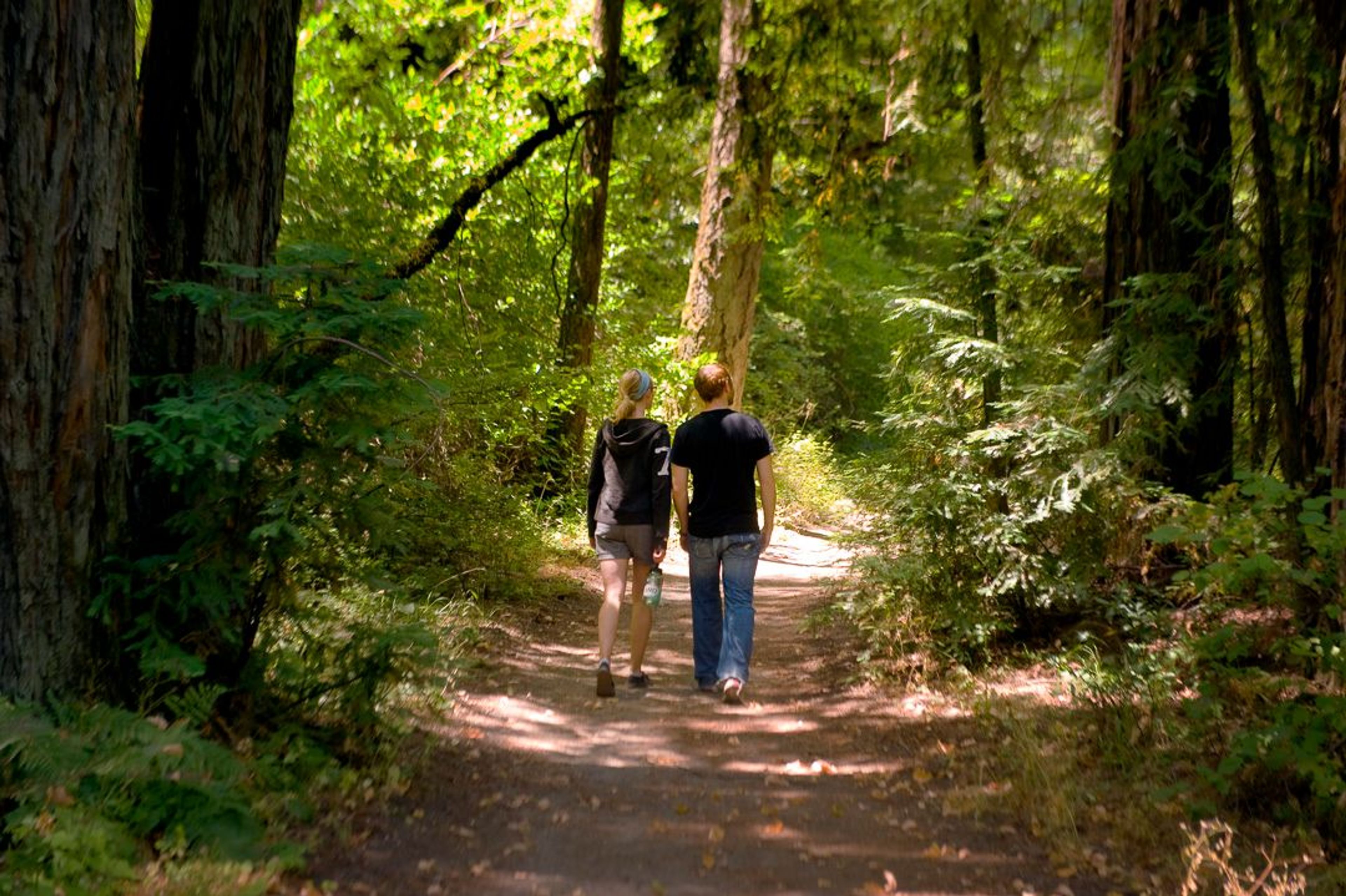 Image of California State Park