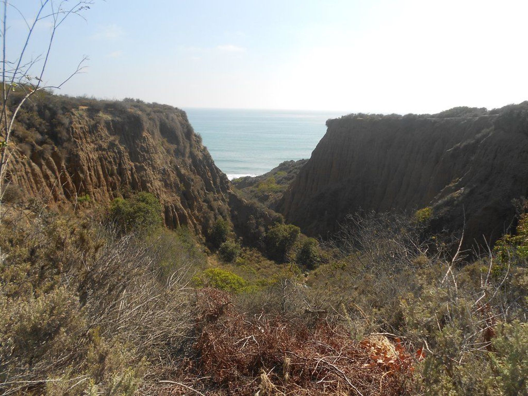 Image of California State Park