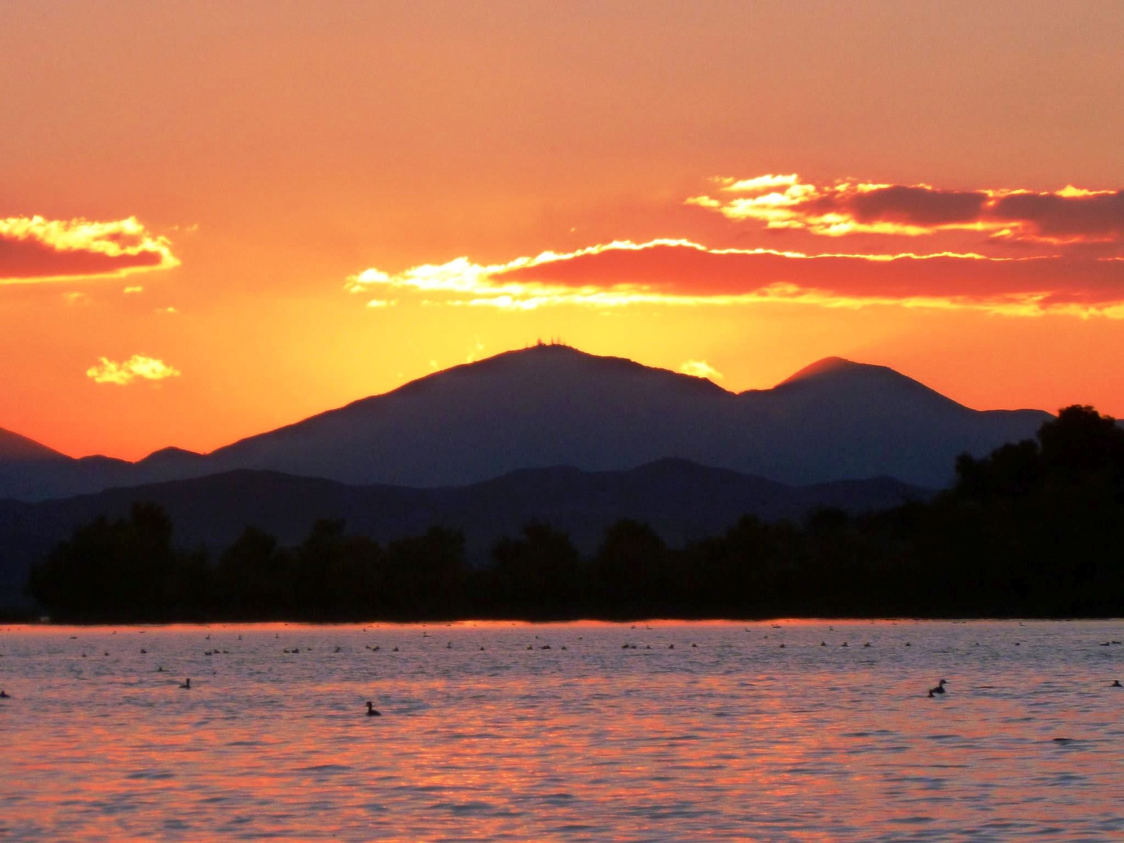 Image of California State Park