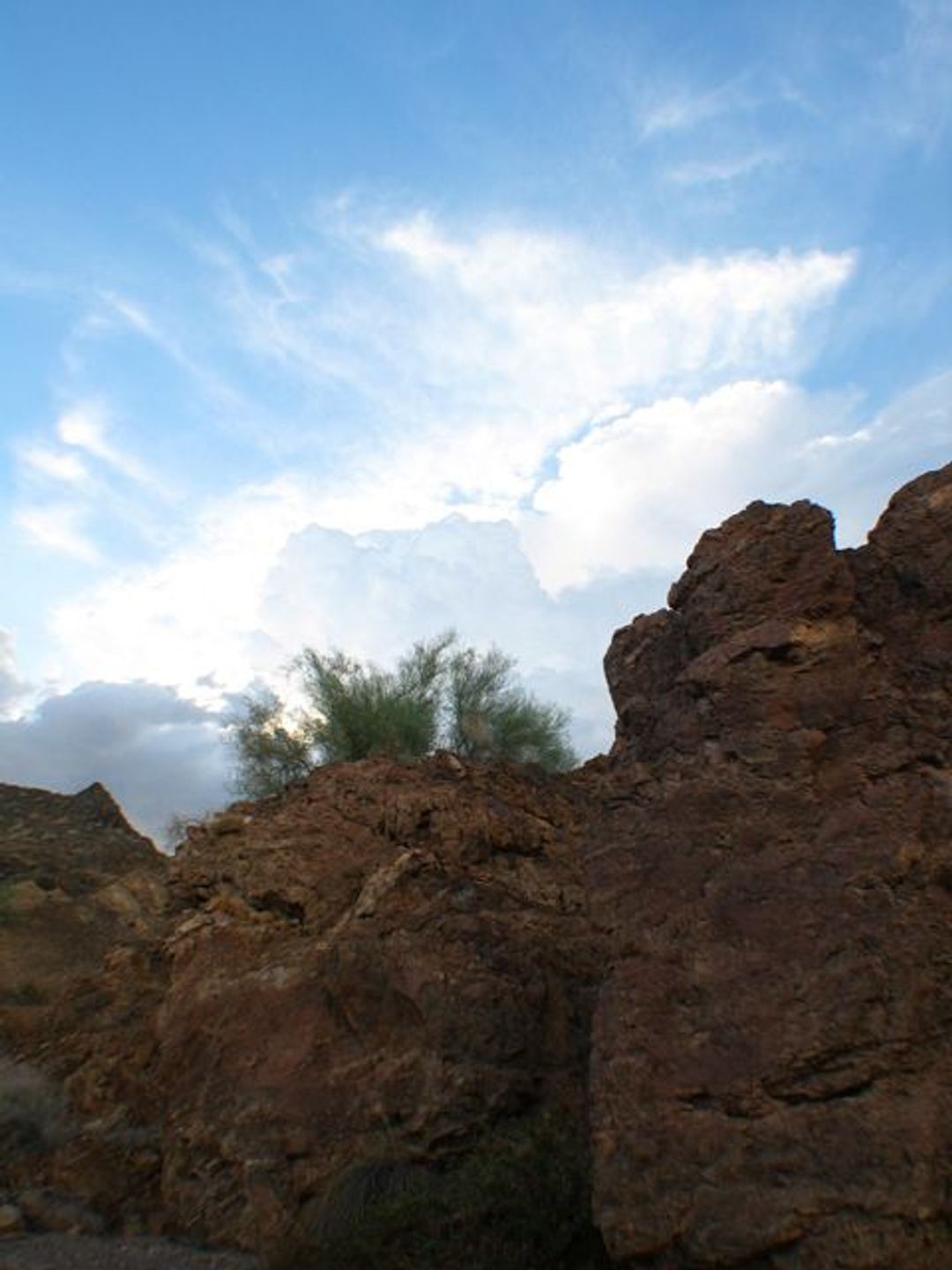 Image of California State Park