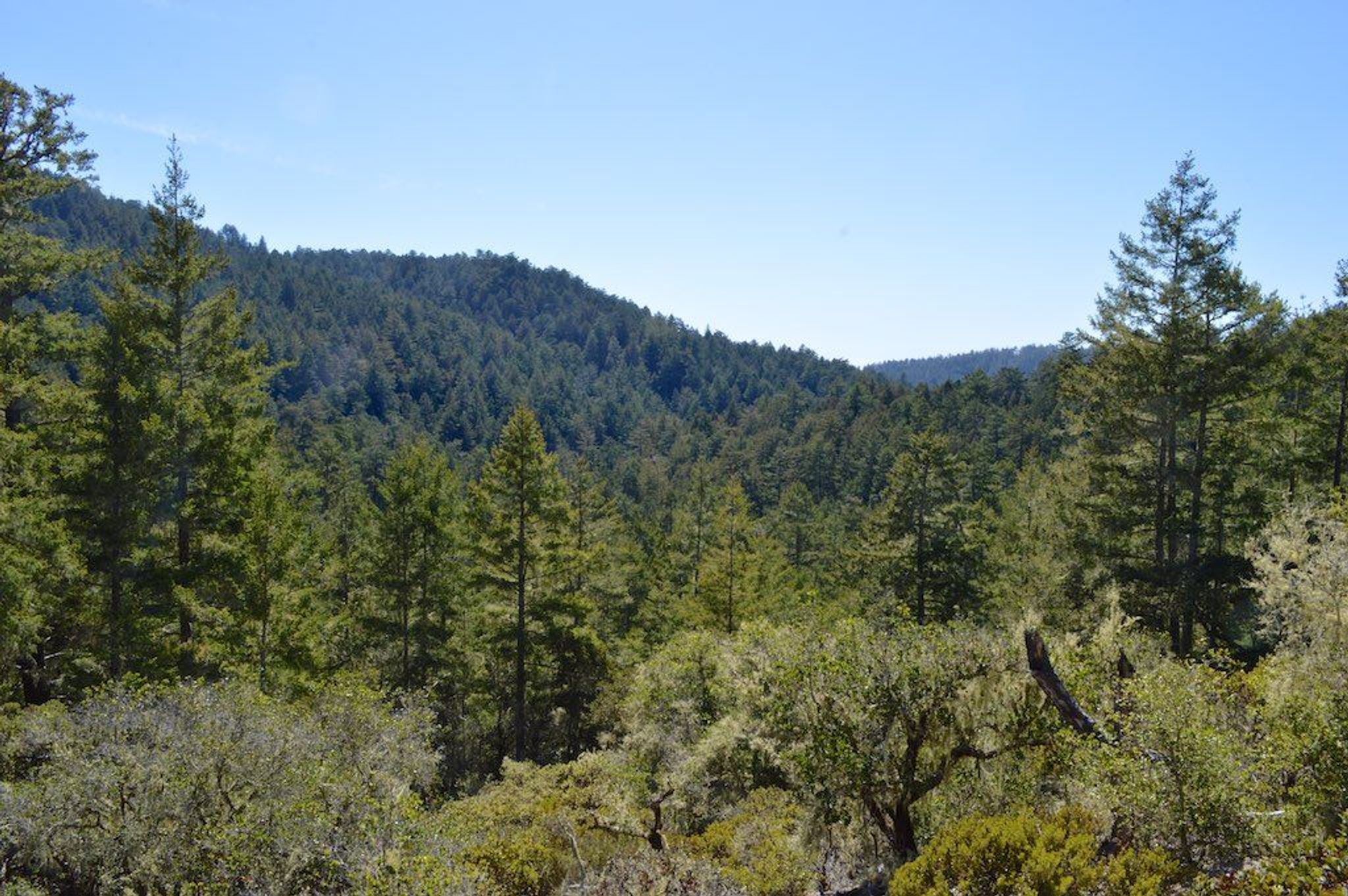 Image of California State Park