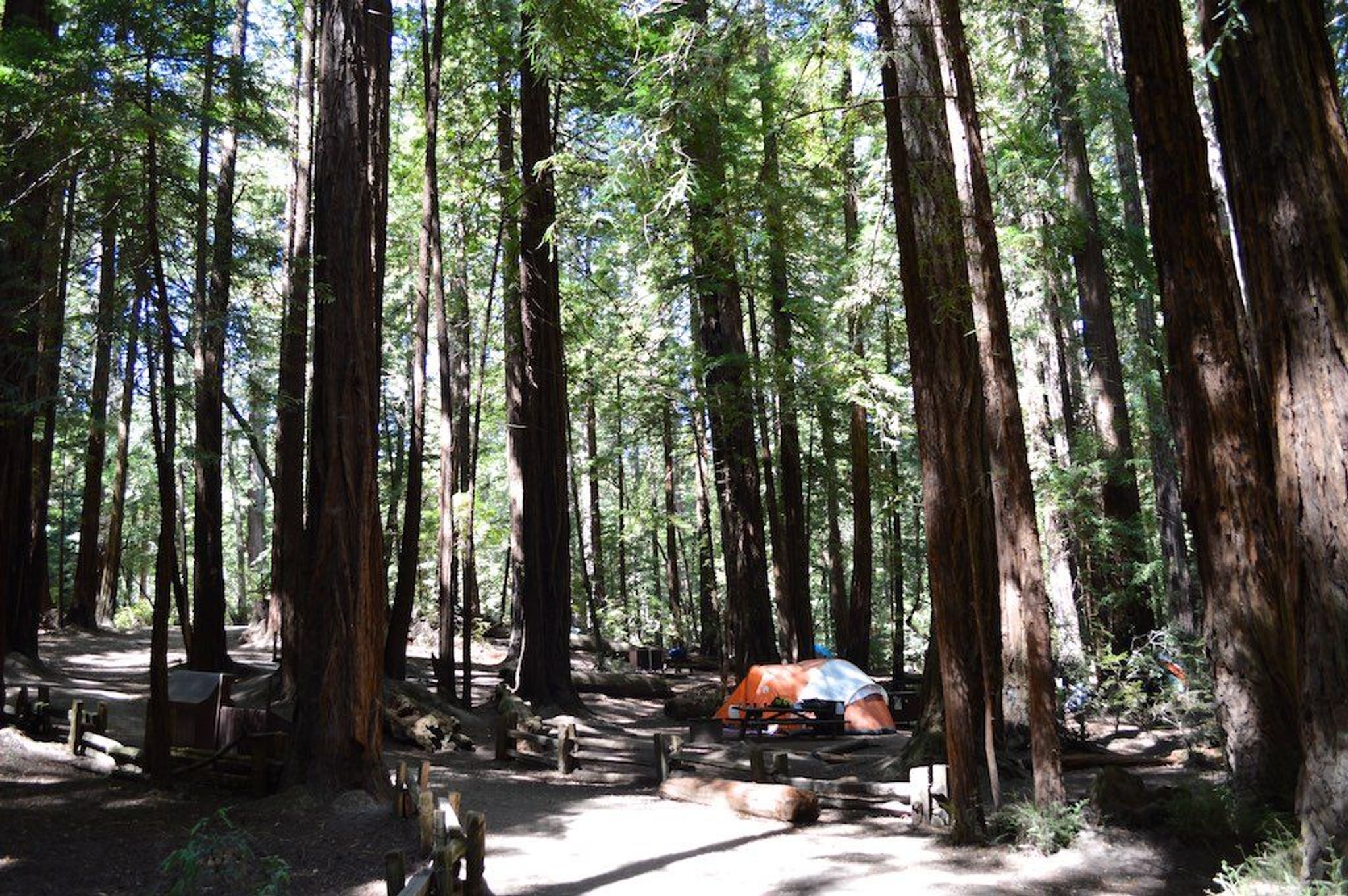 Image of California State Park