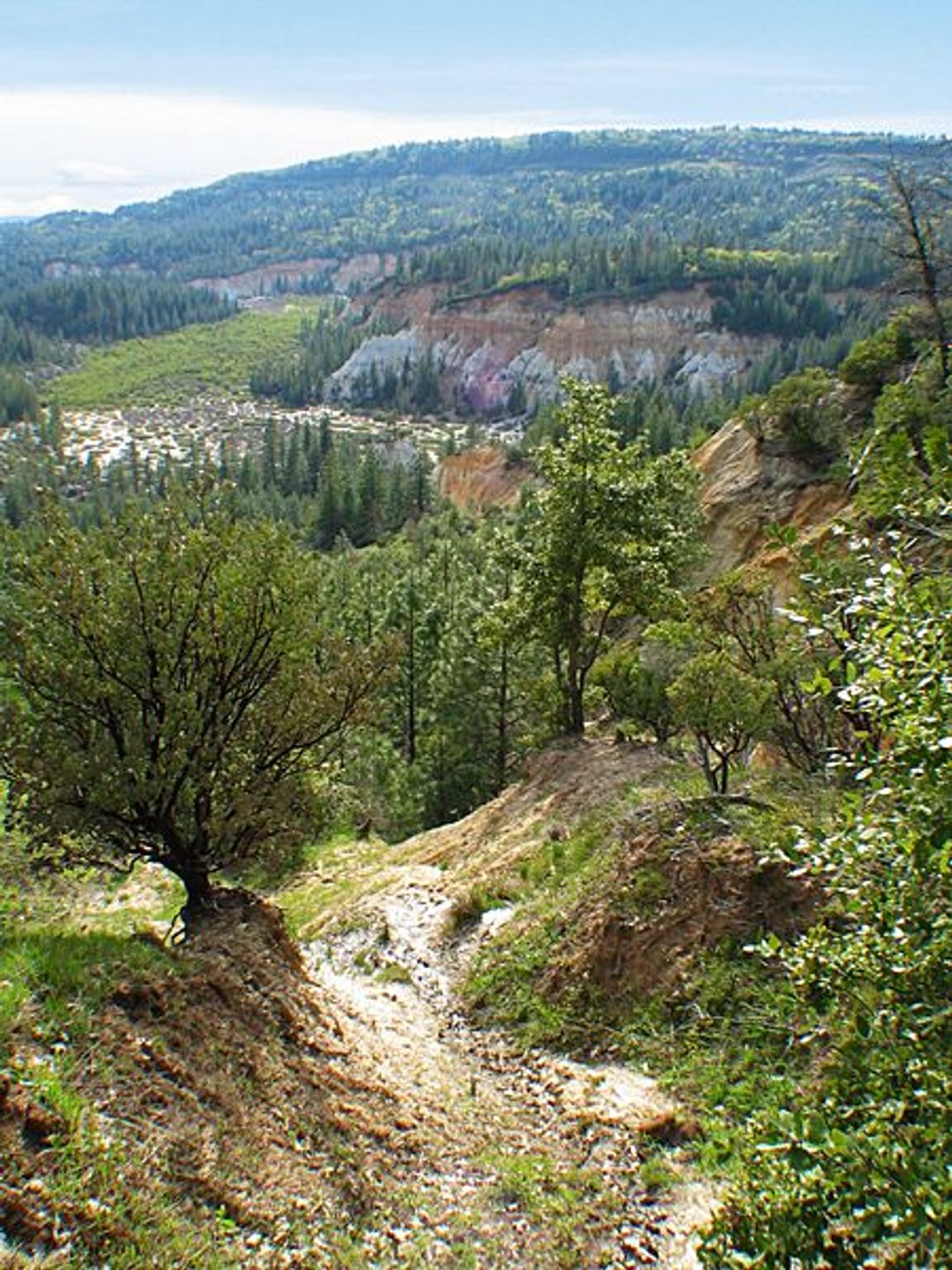 Image of California State Park