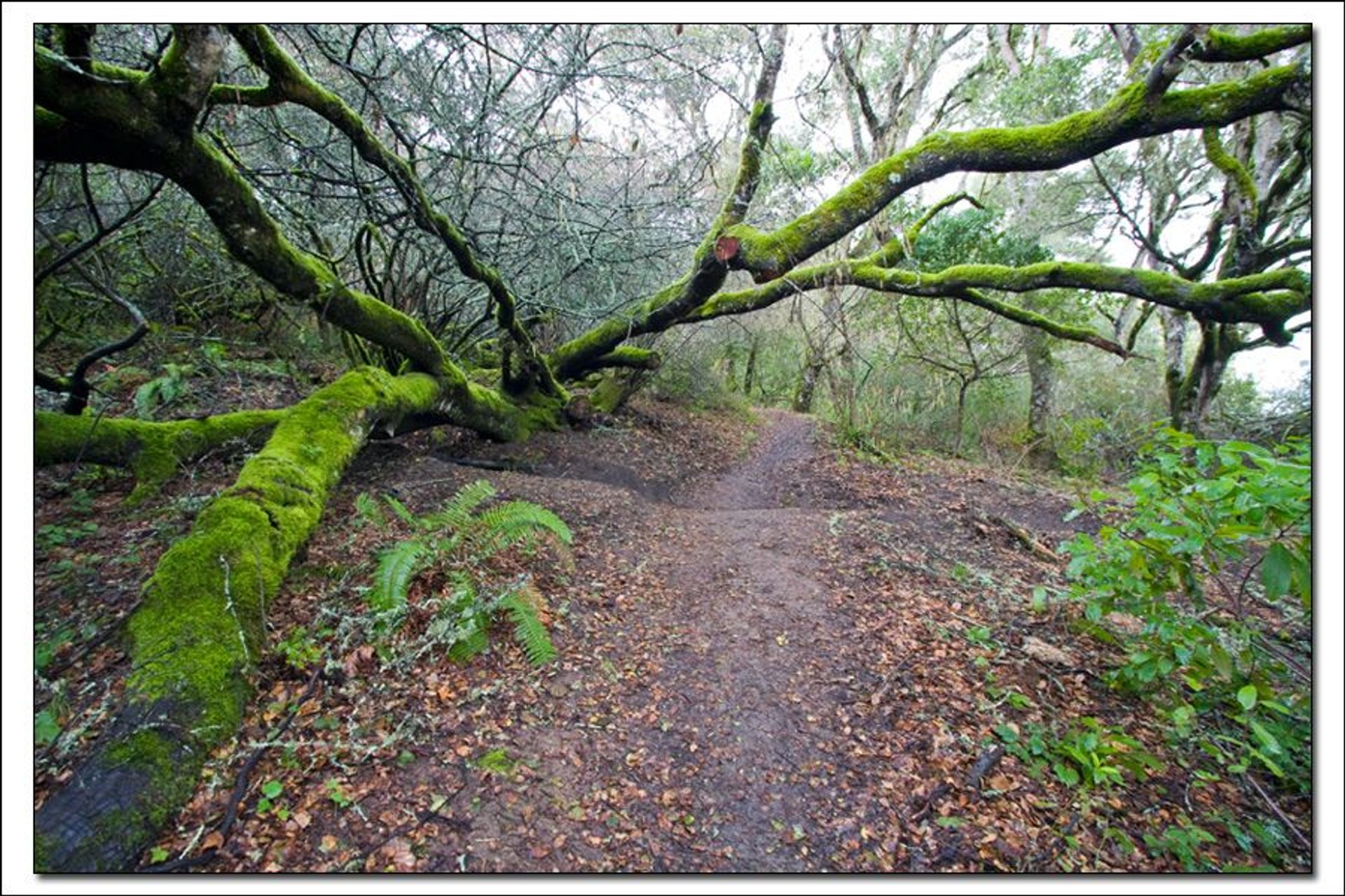 Image of California State Park