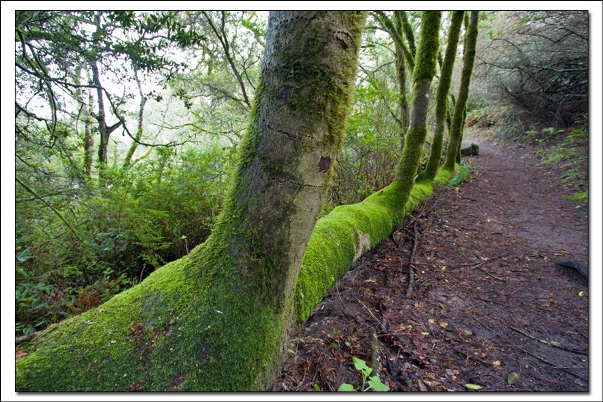 Image of California State Park