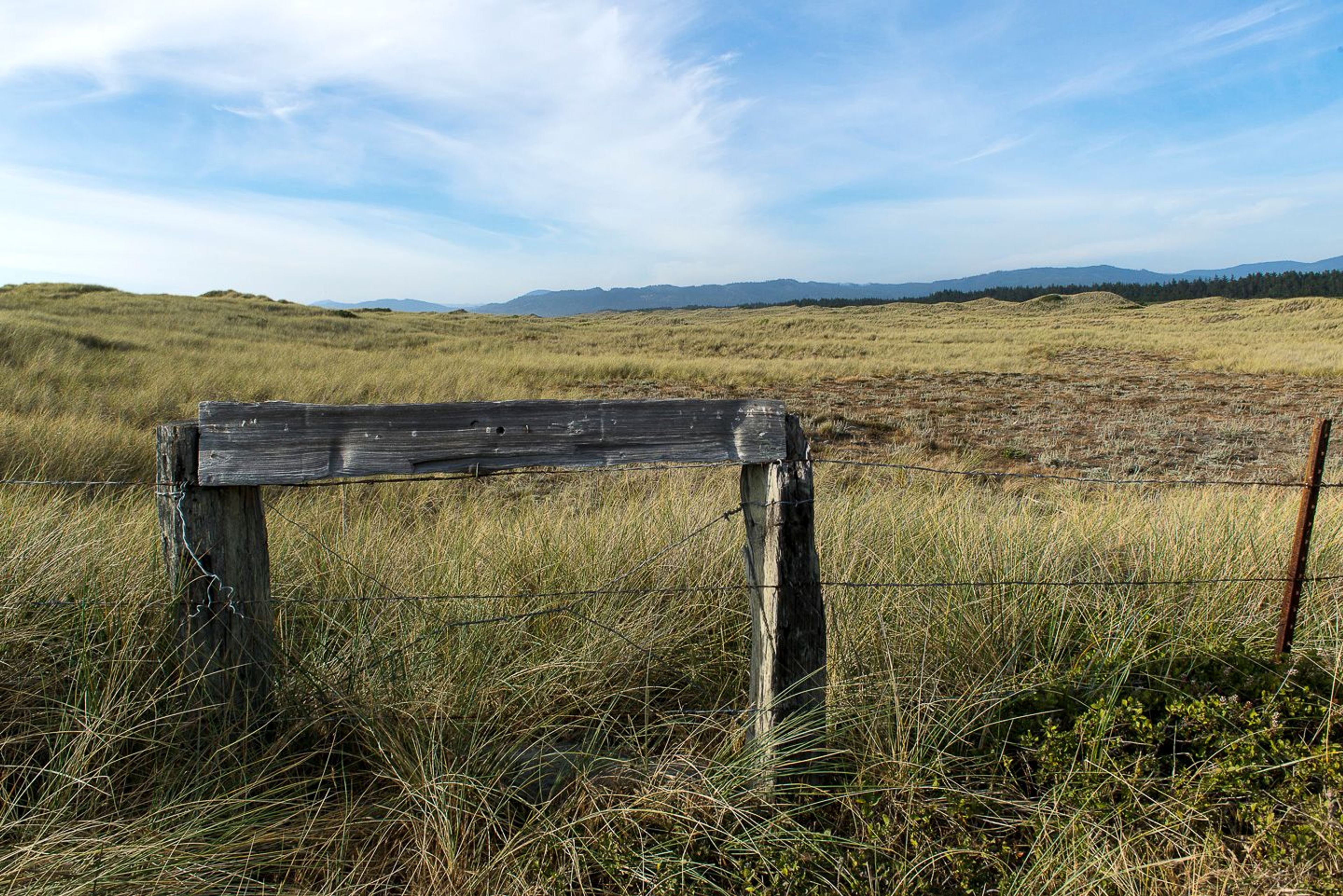 Image of California State Park