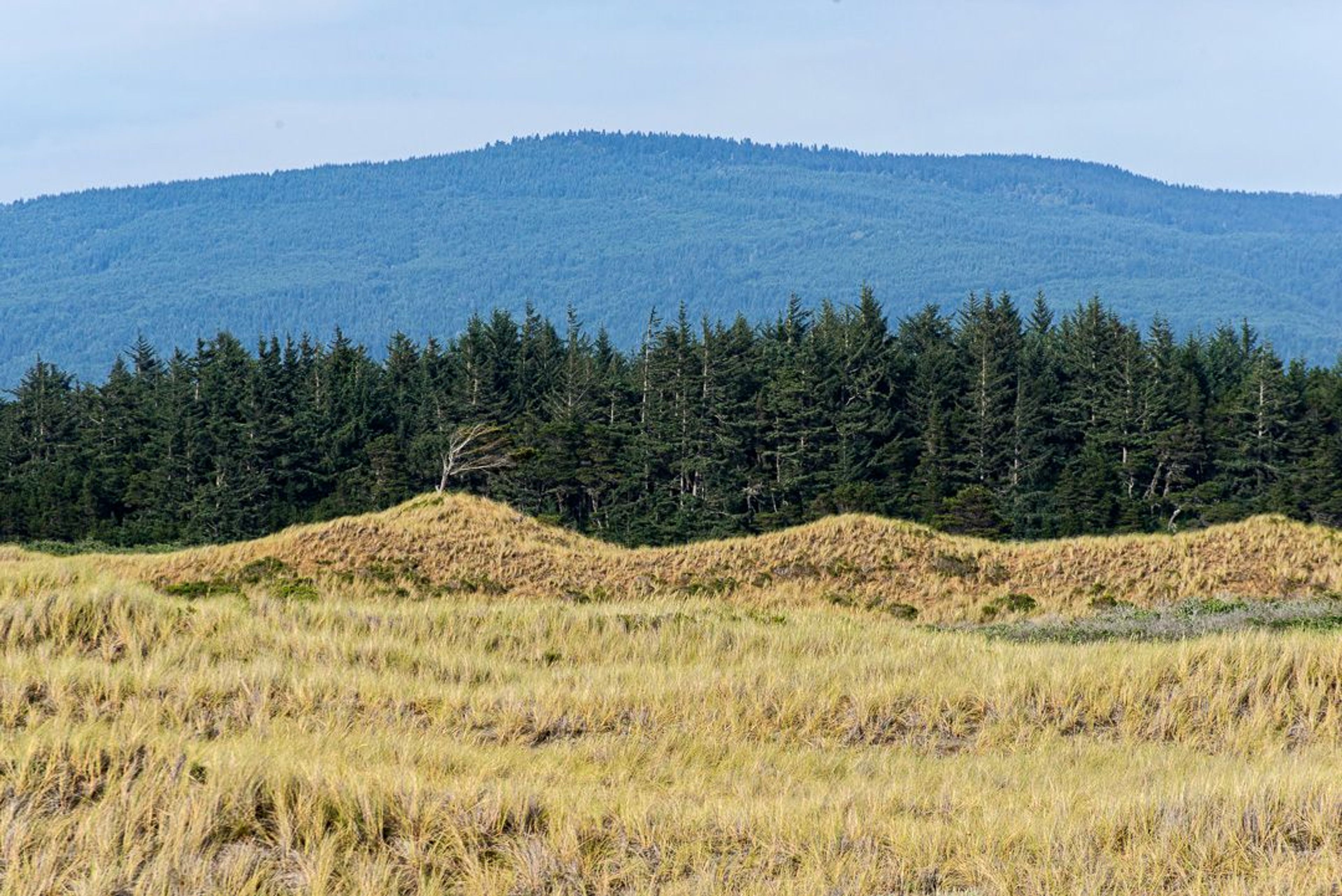 Image of California State Park