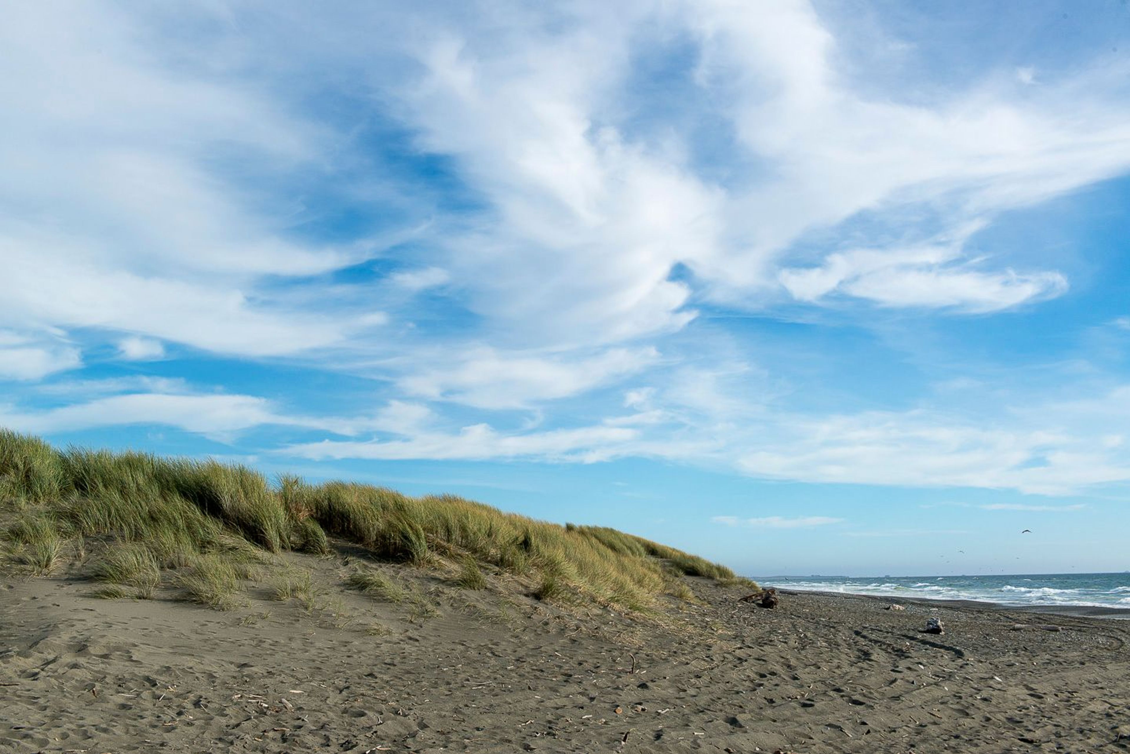 Image of California State Park