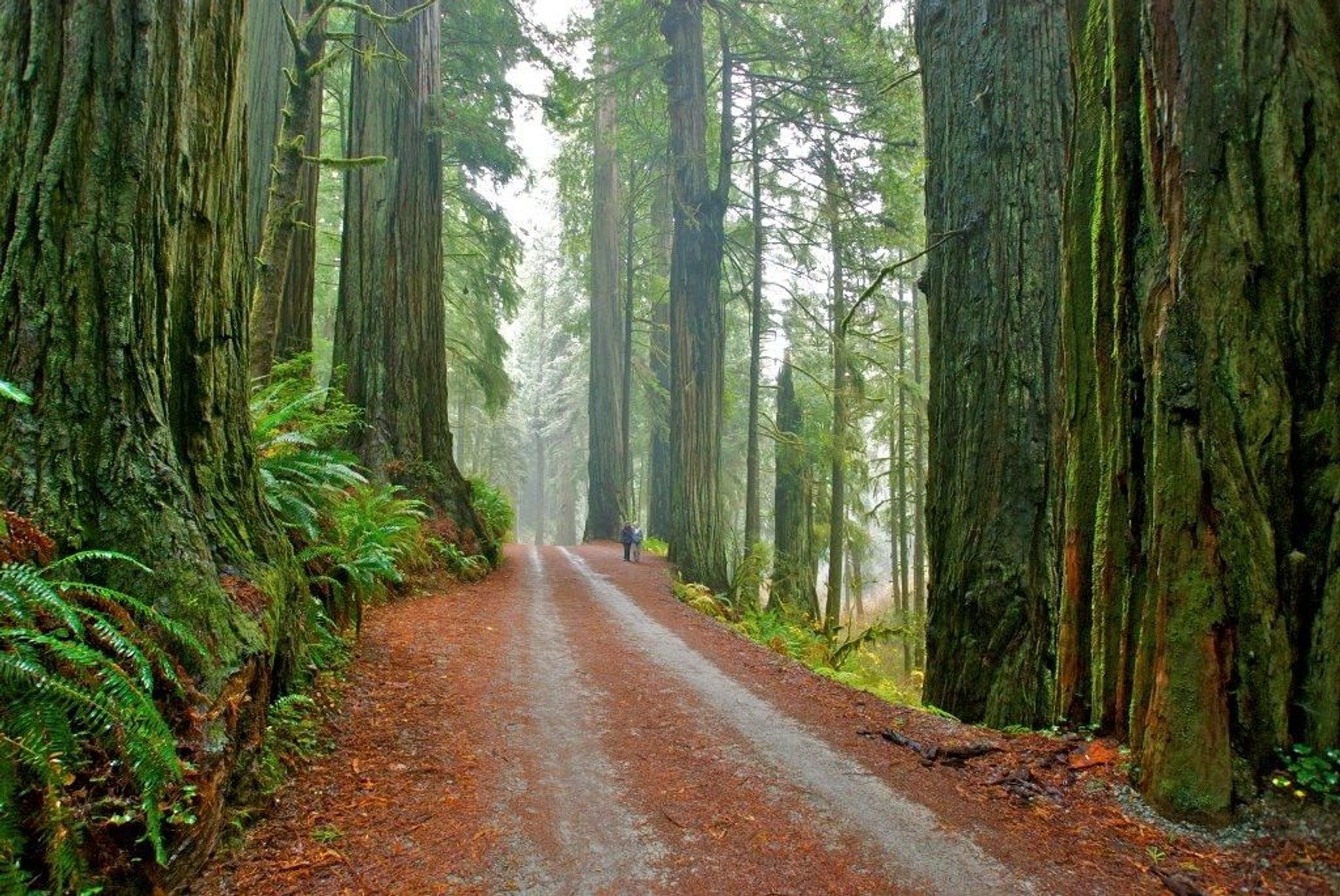 Image of California State Park