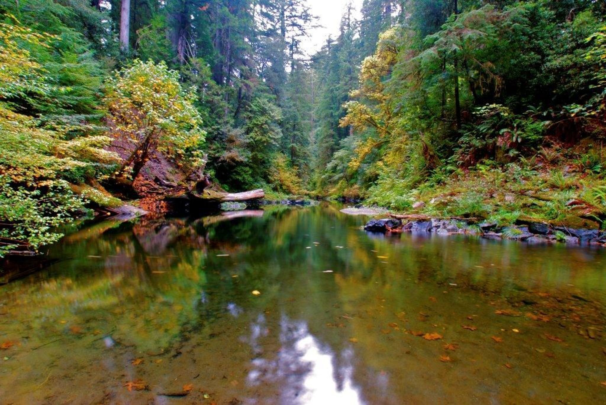 Image of California State Park