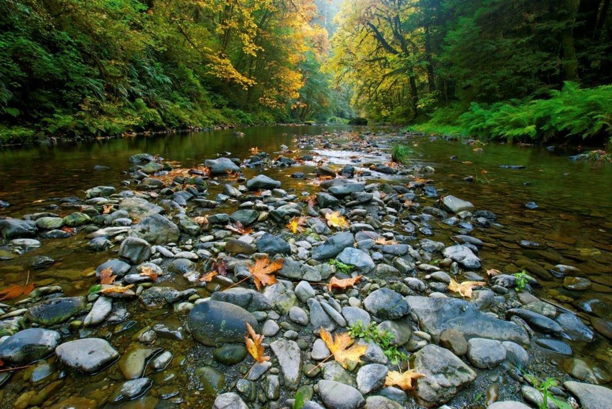 Image of California State Park