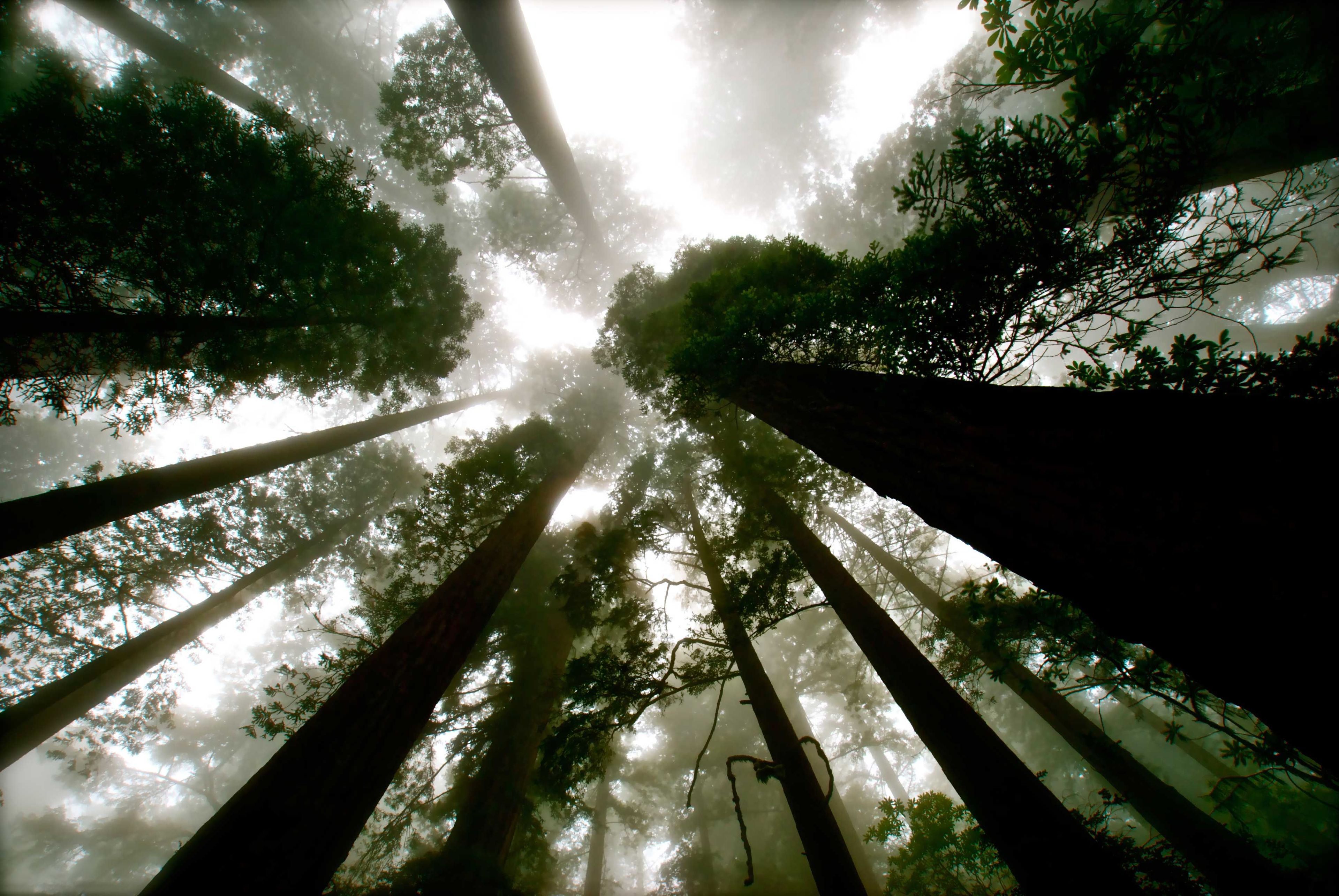 Image of California State Park