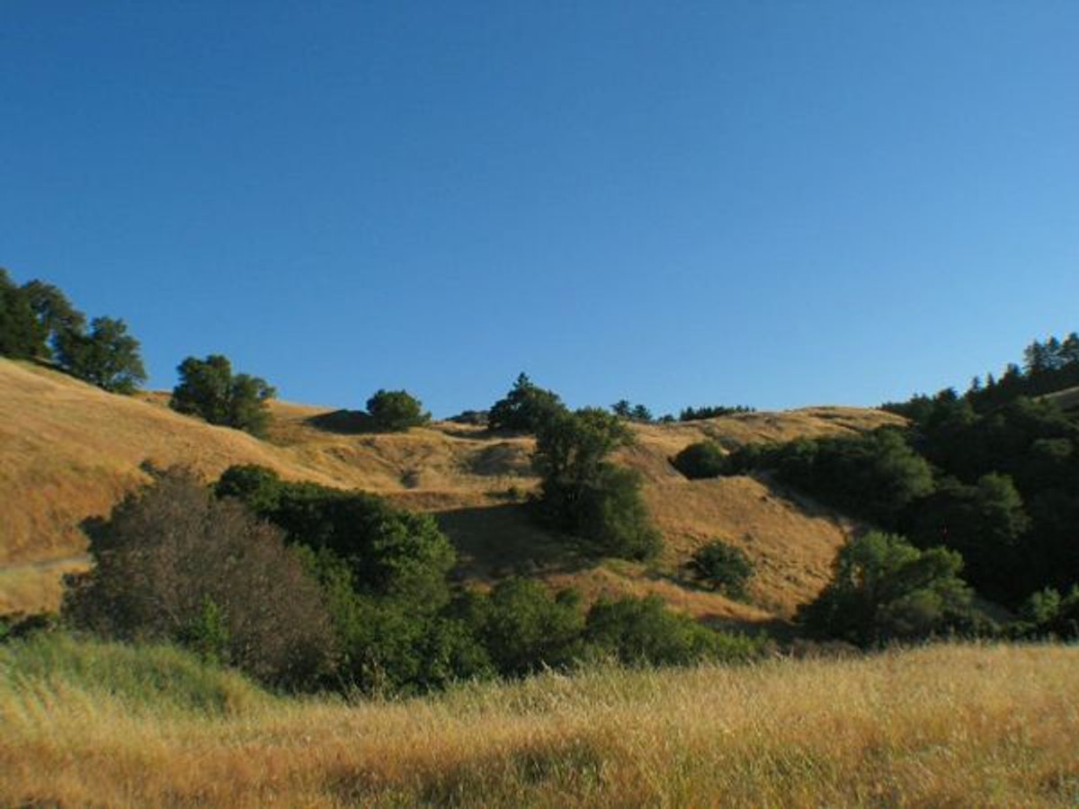 Image of California State Park