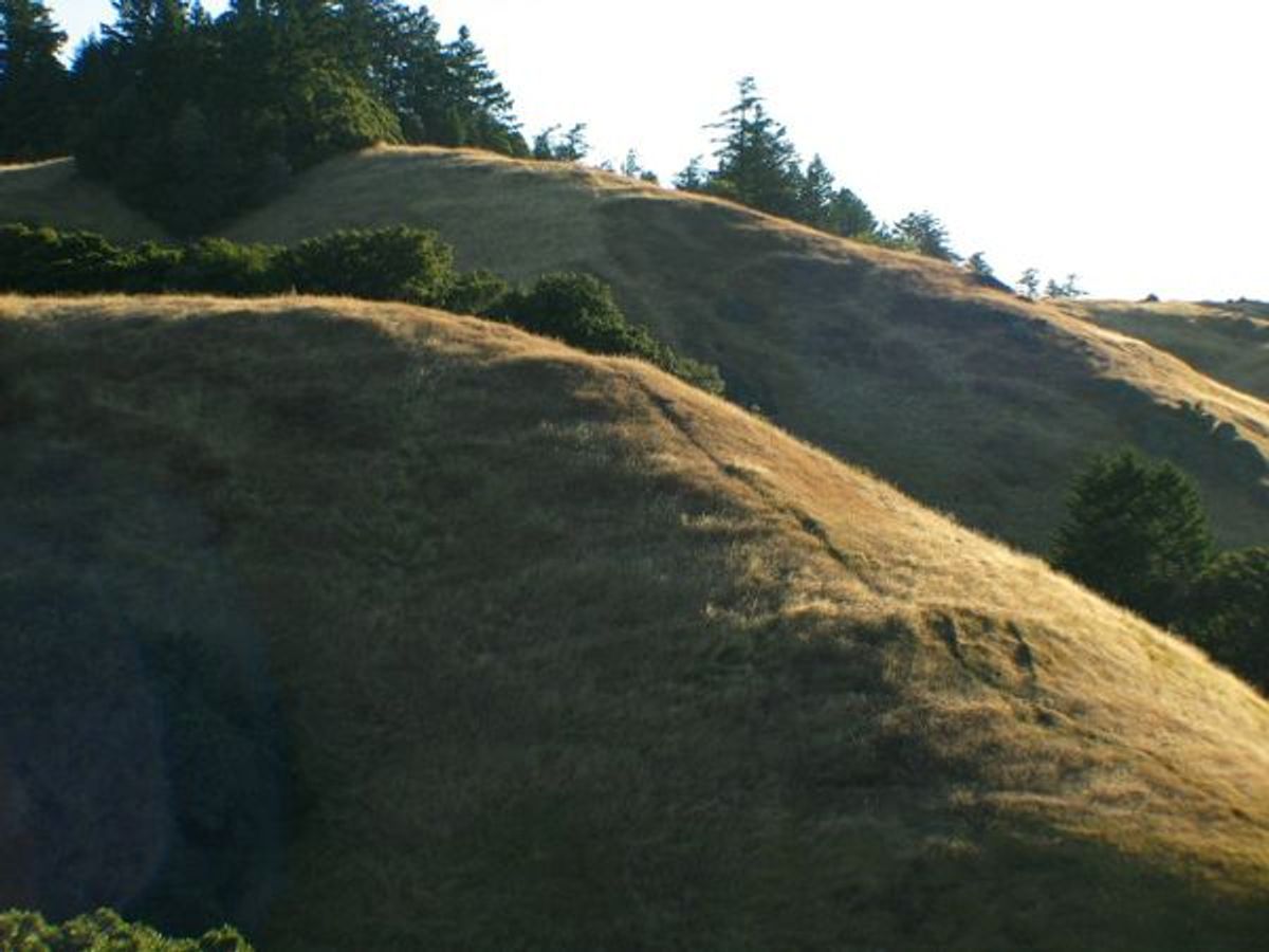 Image of California State Park