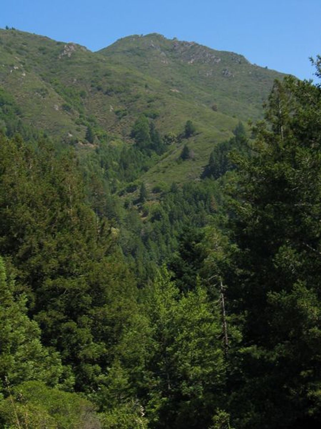 Image of California State Park