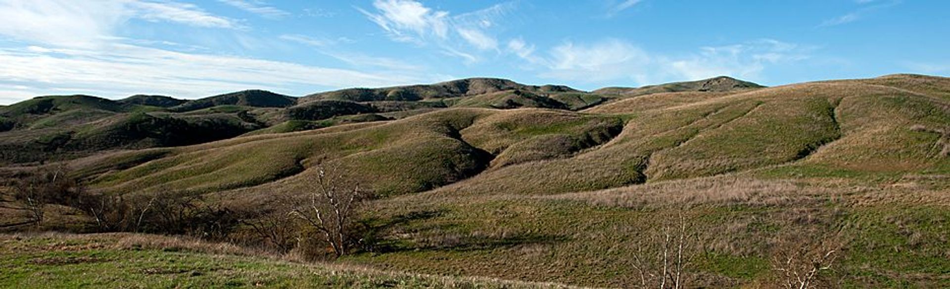 Image of California State Park