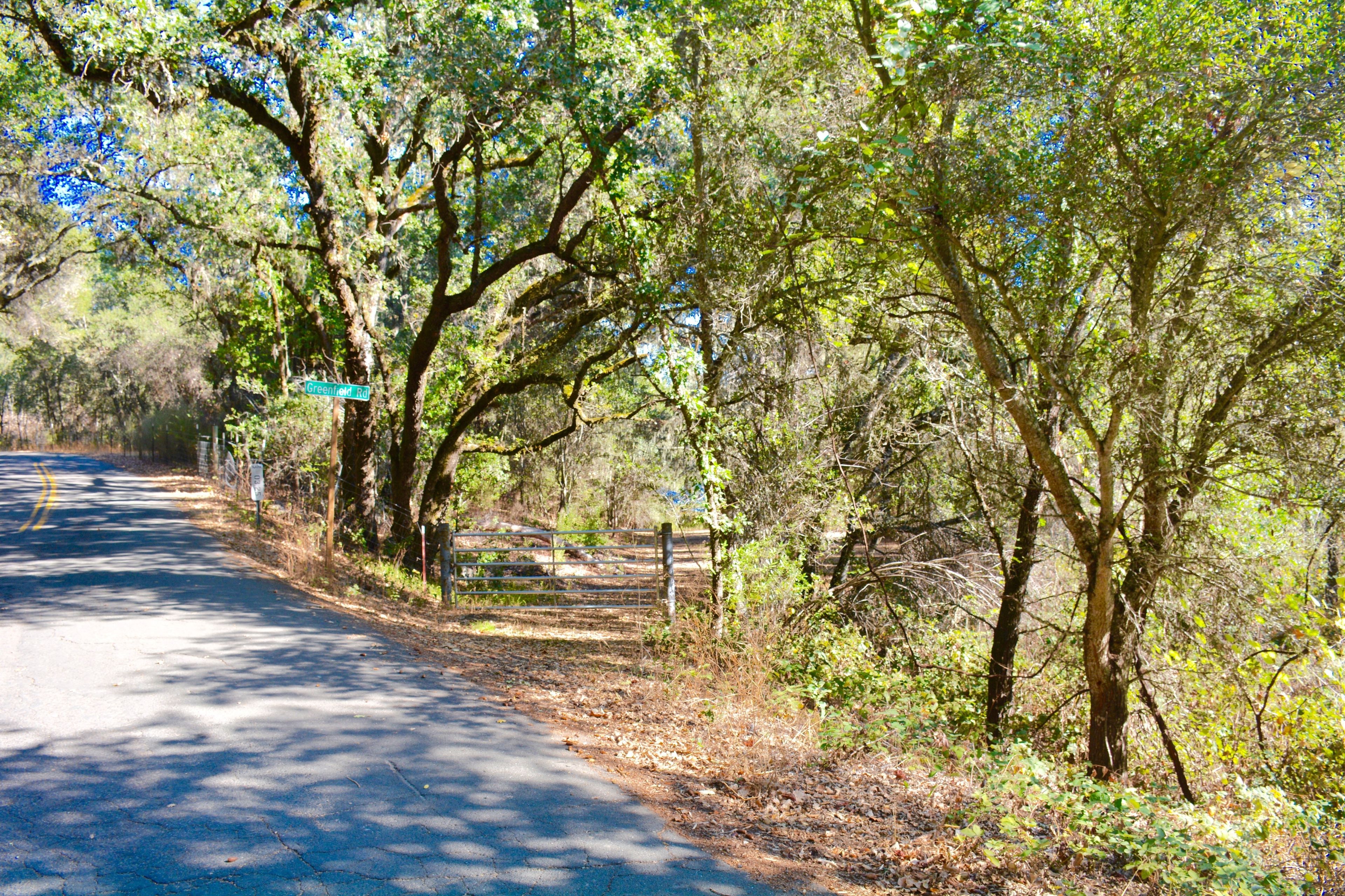 West_Shore_Trail_Head.jpg