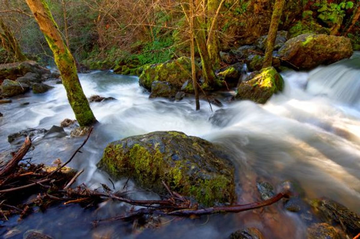 Image of California State Park