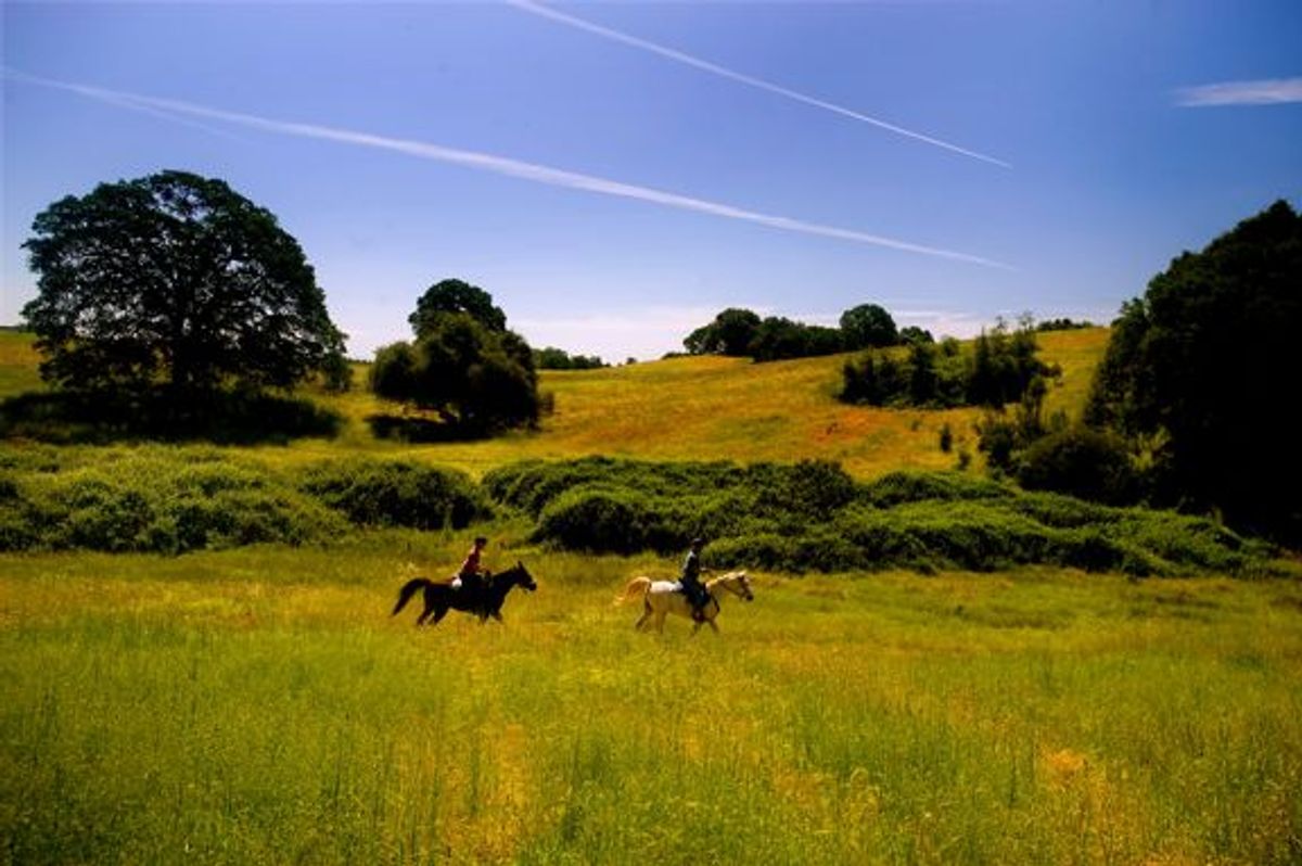 Image of California State Park