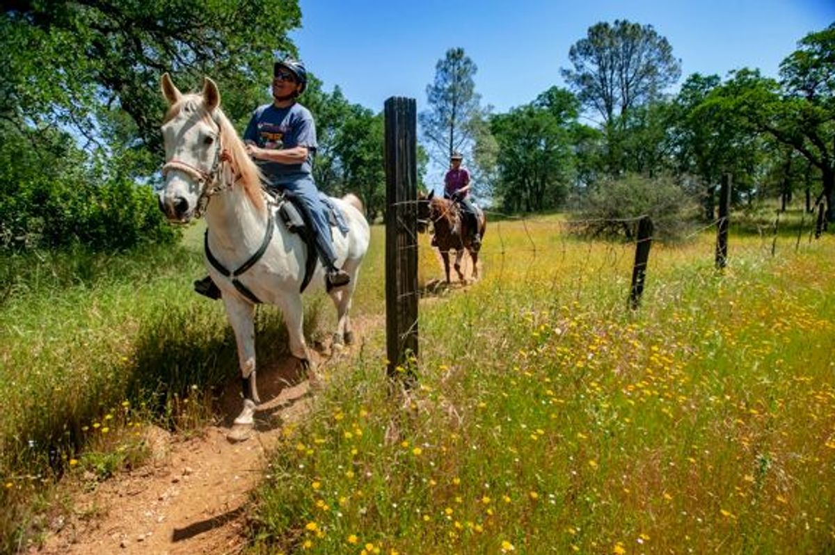 Image of California State Park