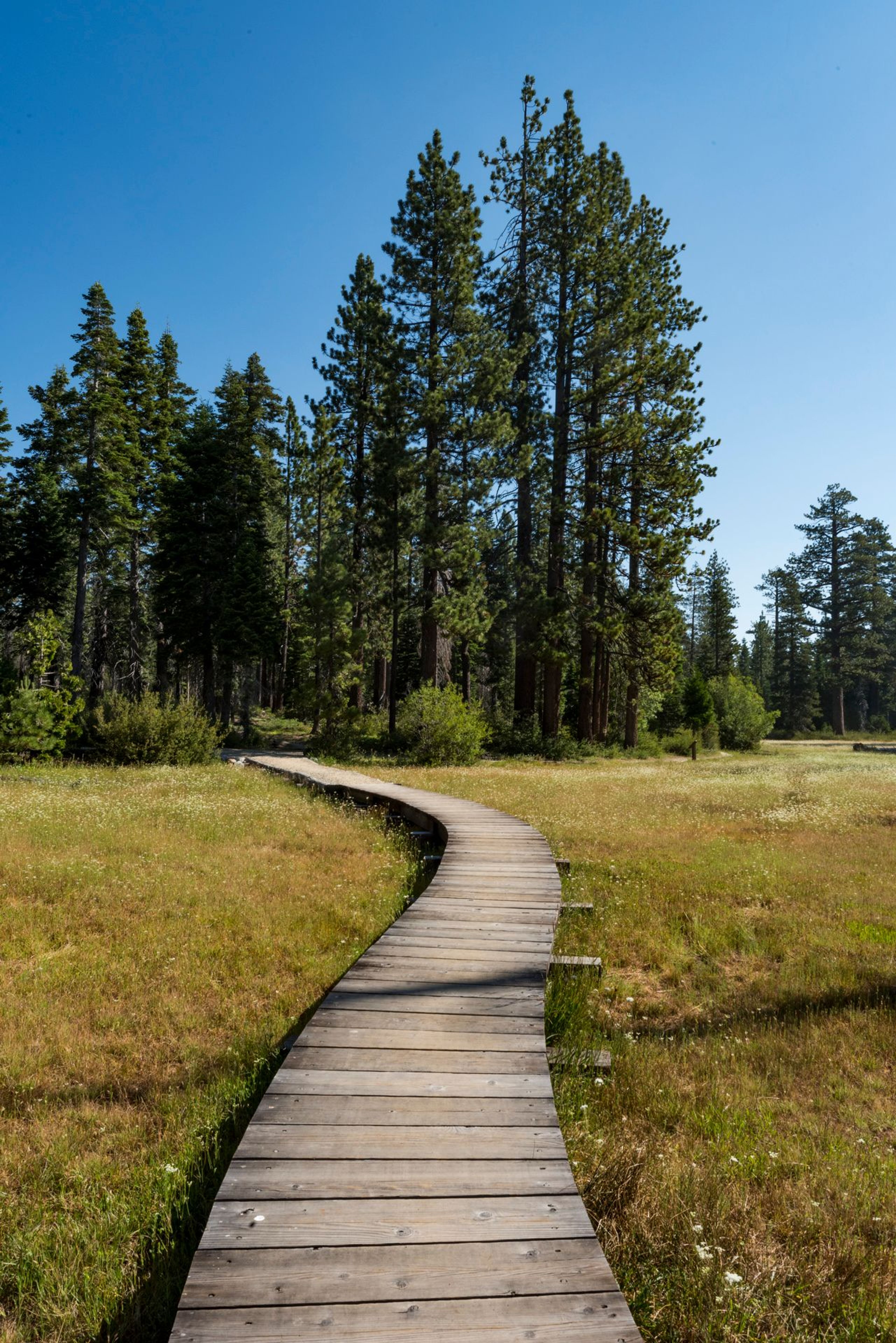 Image of California State Park