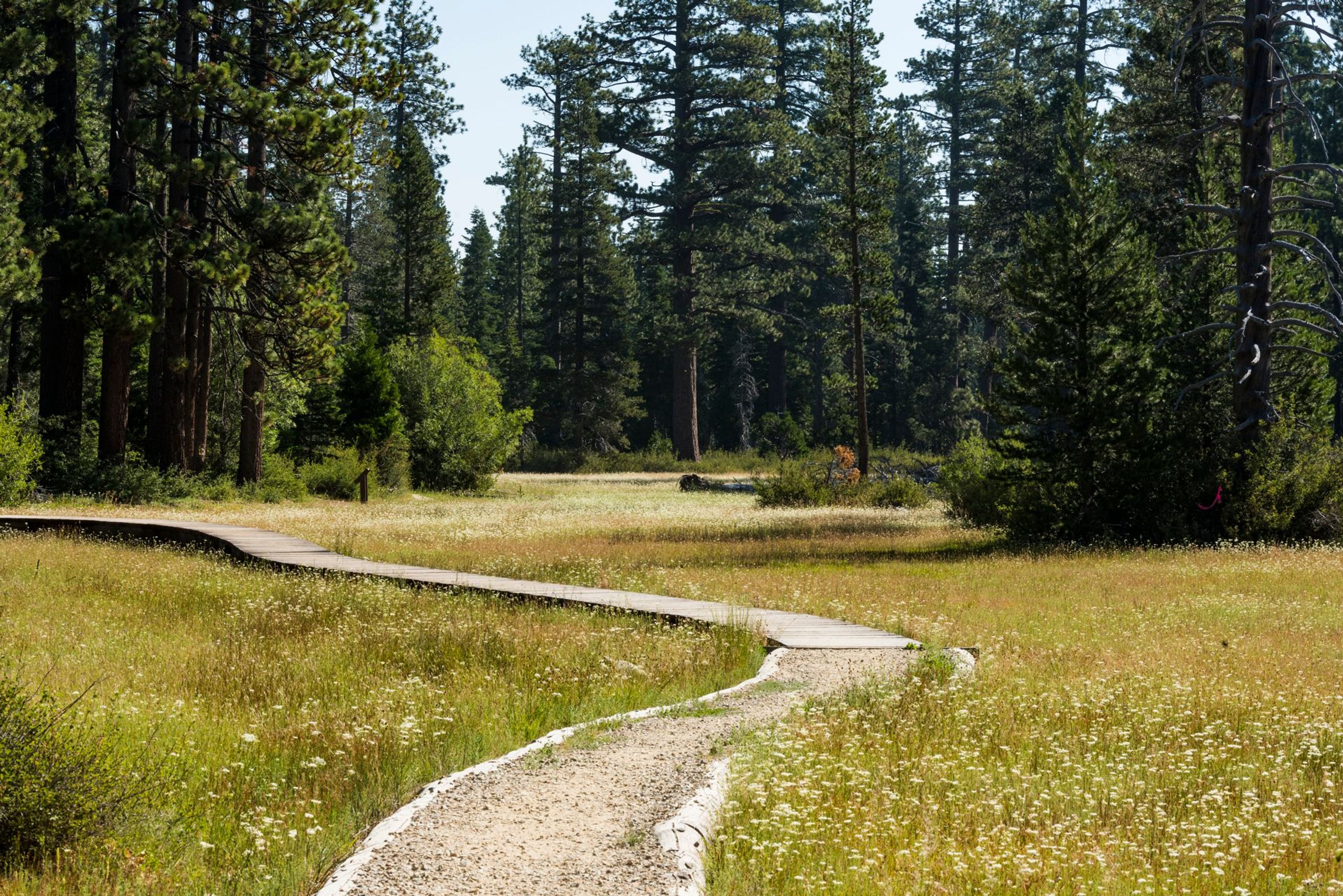 Image of California State Park