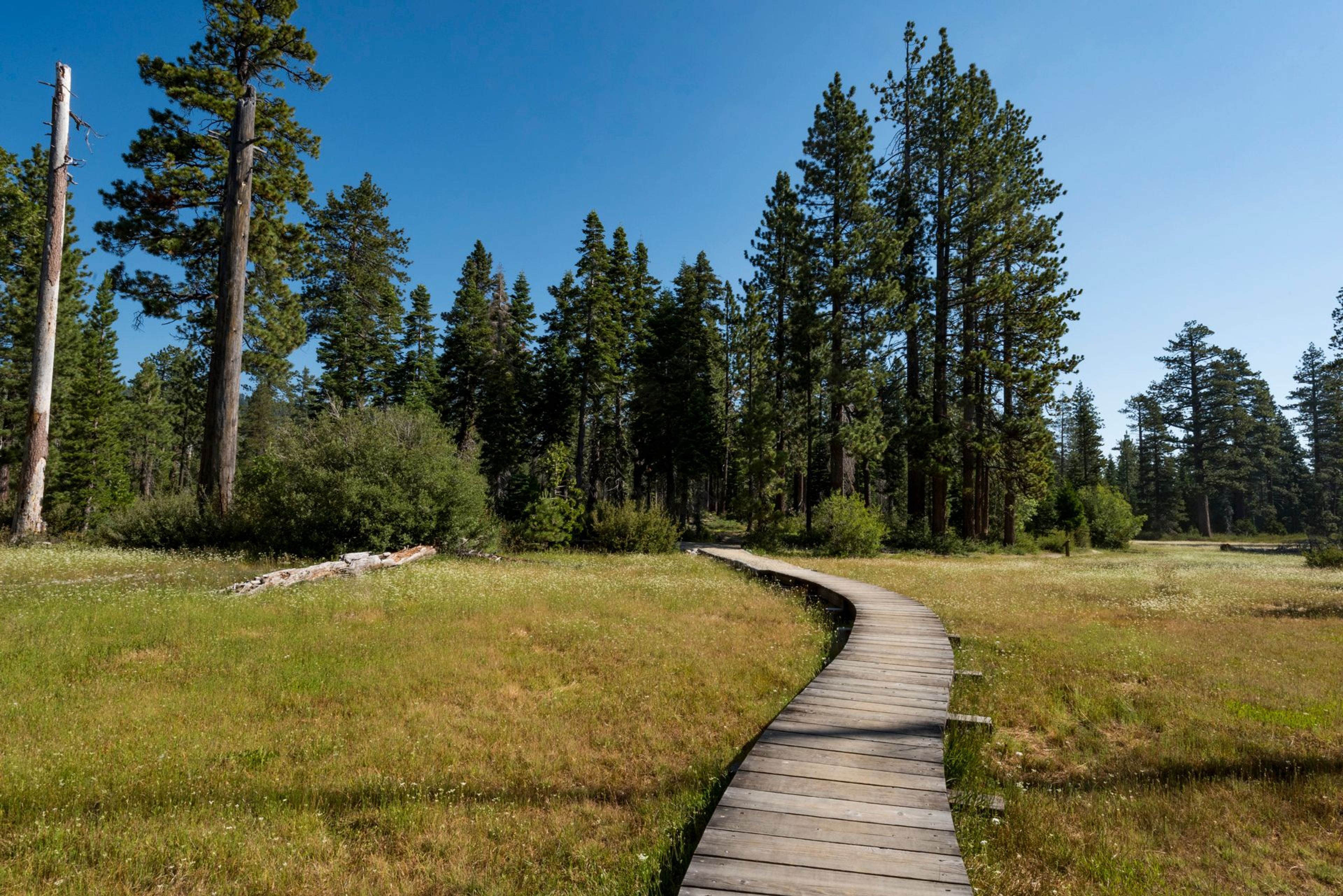 Image of California State Park