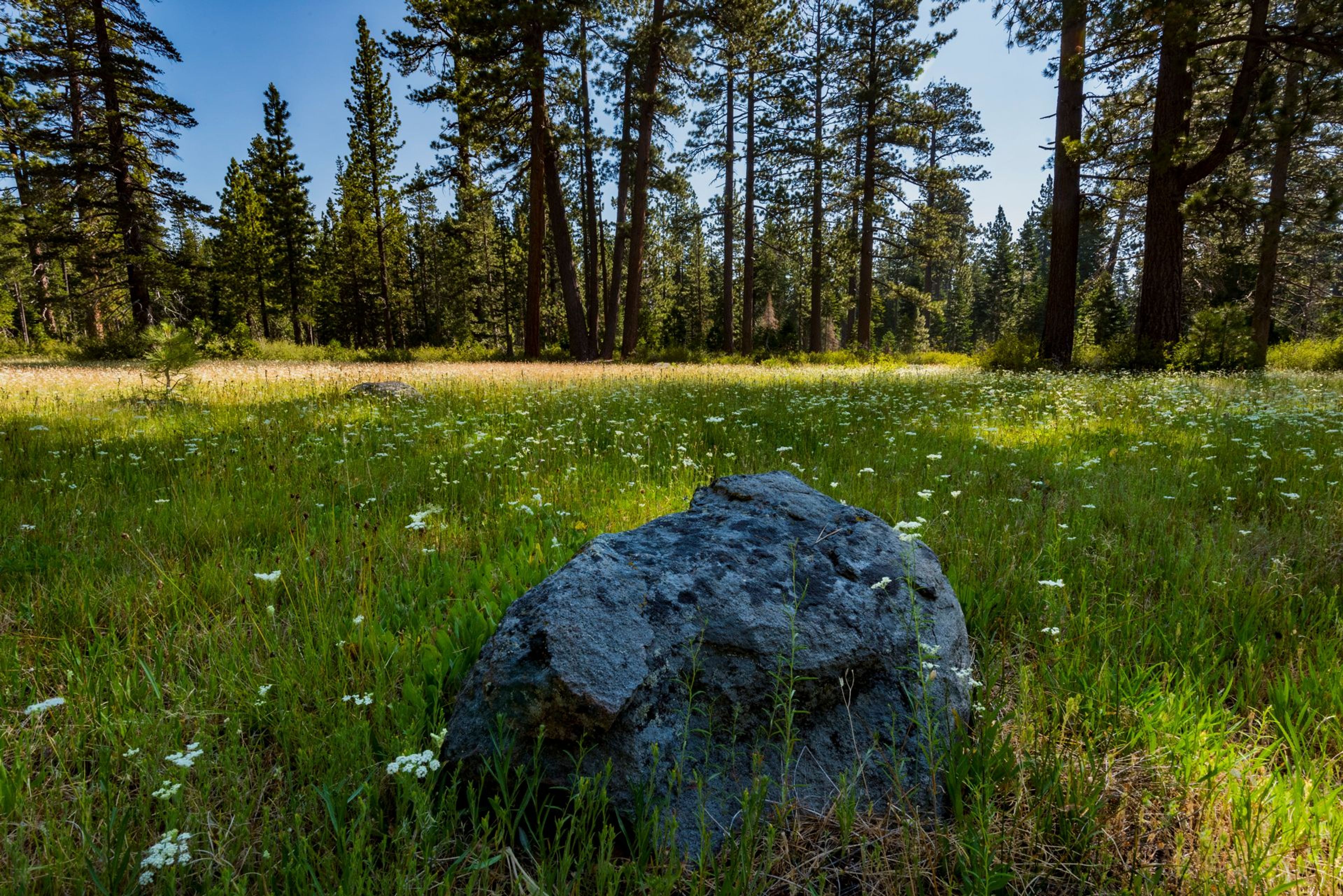 Image of California State Park