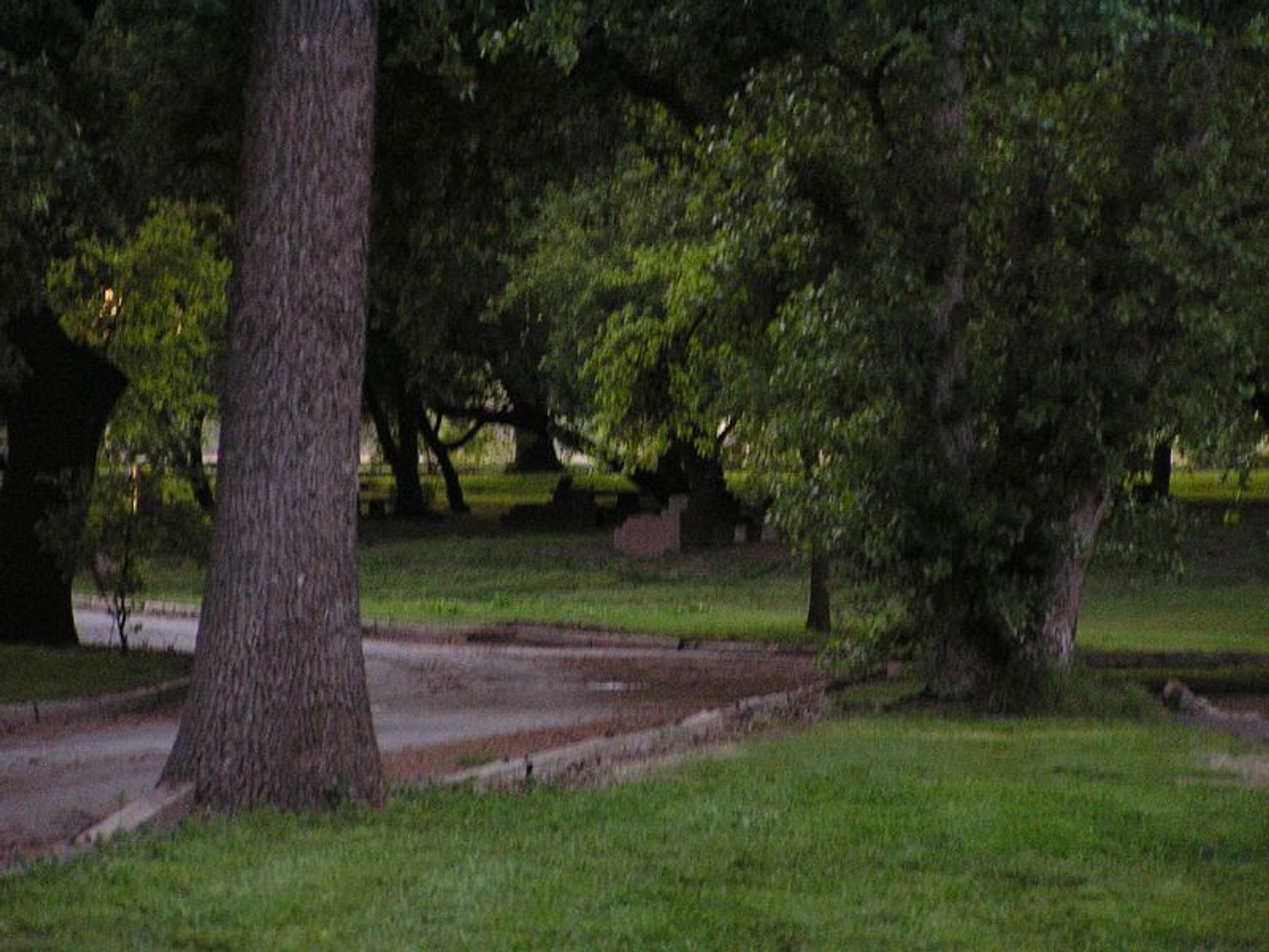 Image of California State Park