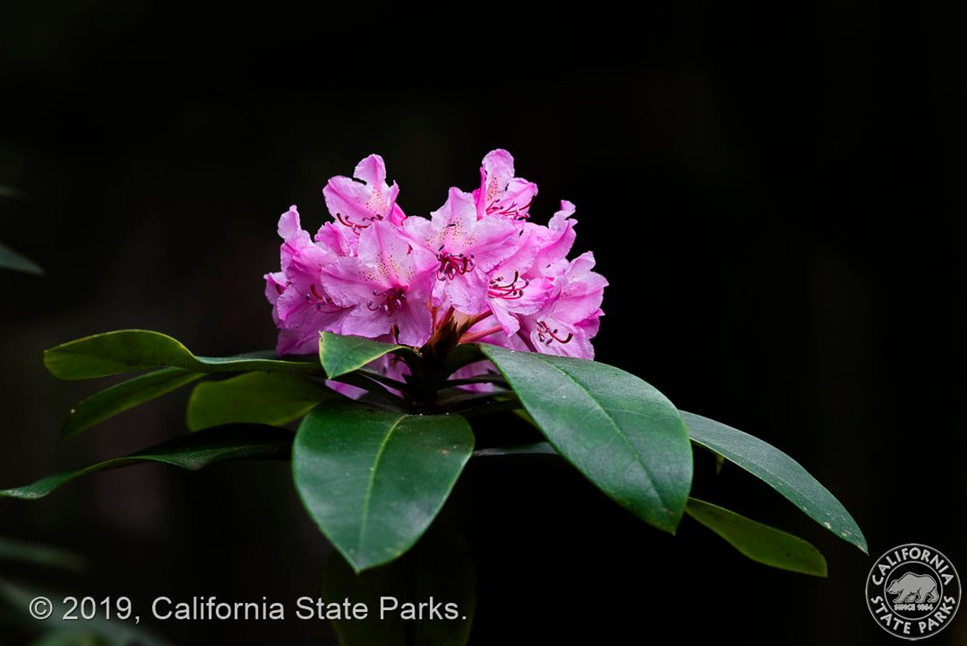 Image of California State Park