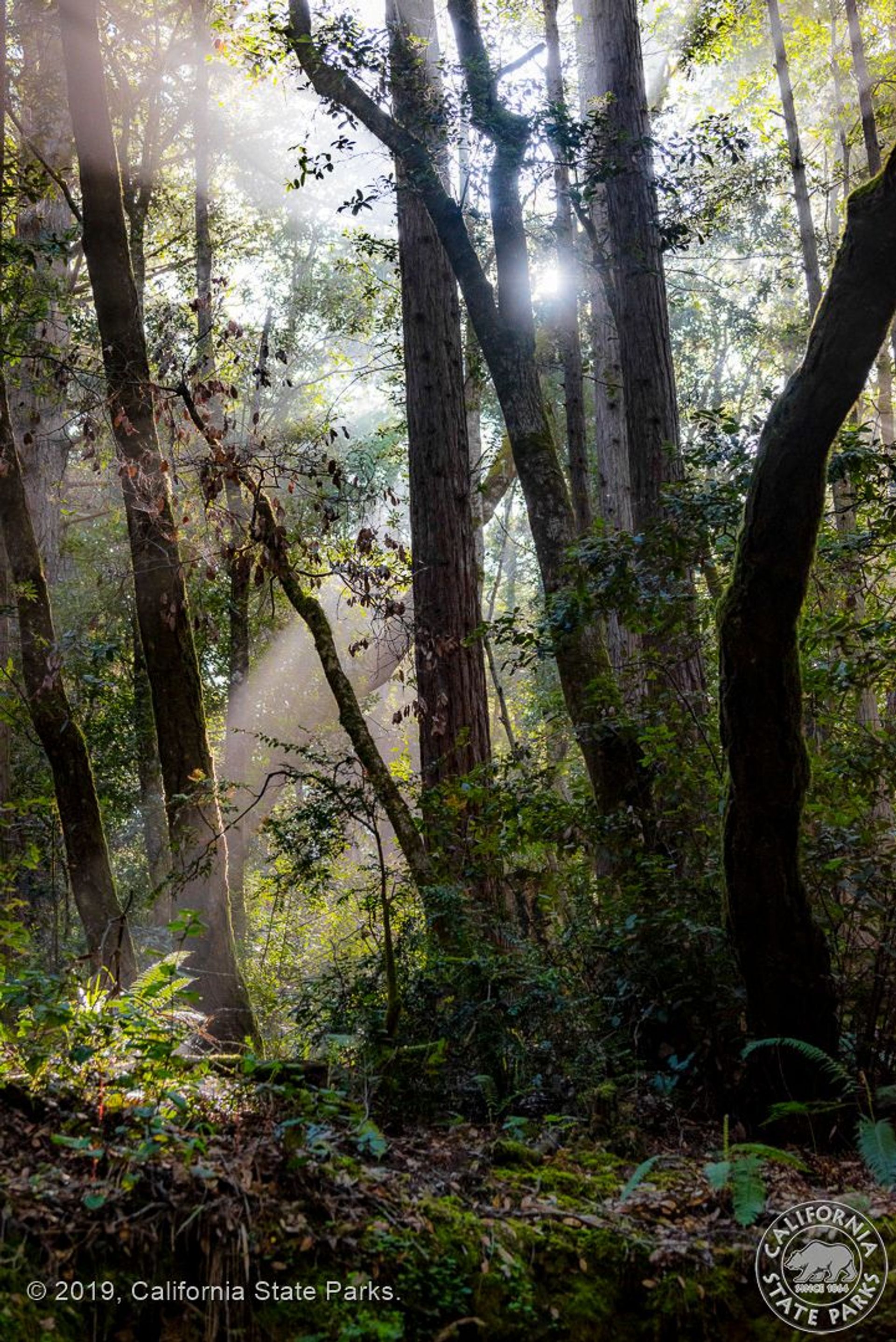 Image of California State Park