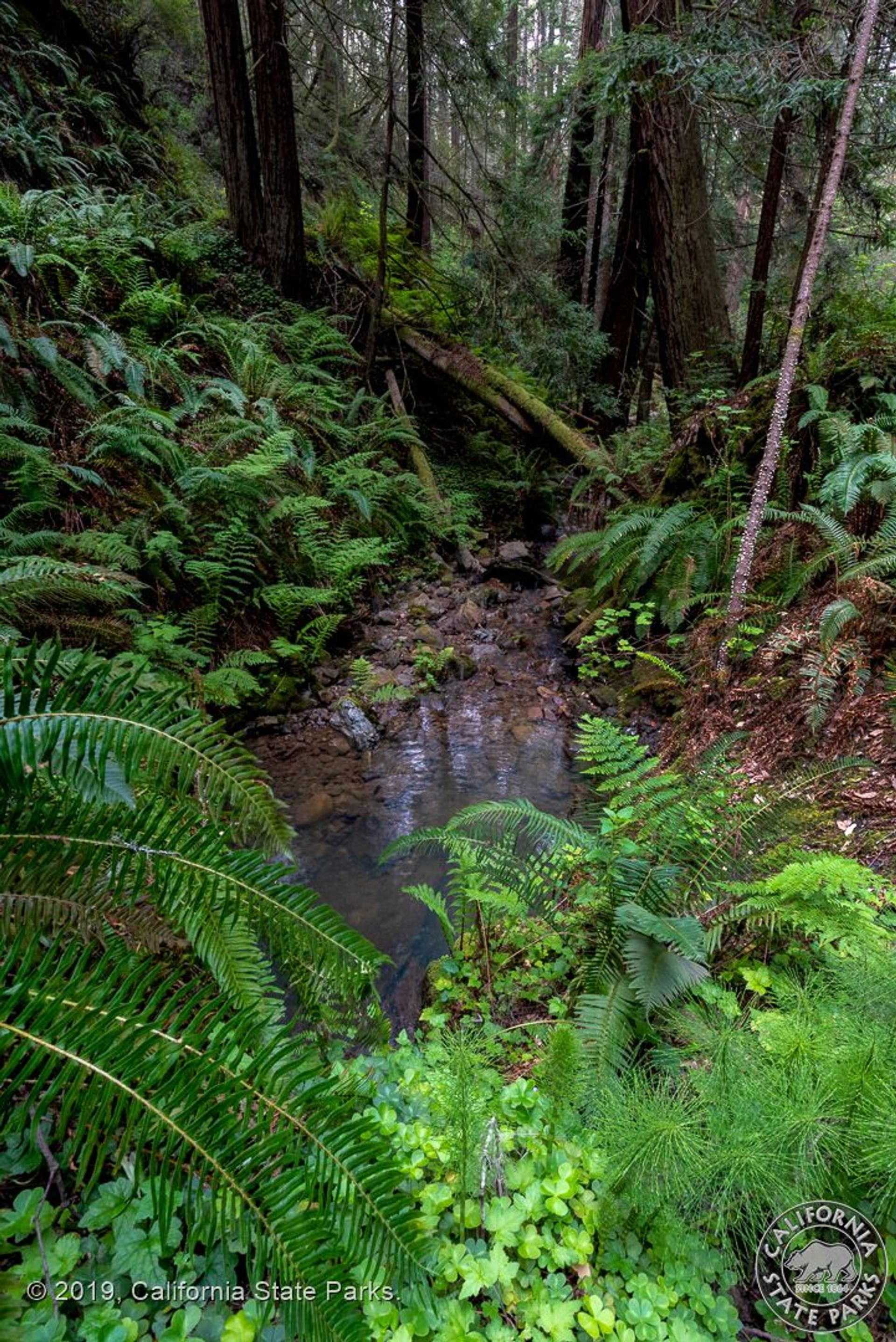 Image of California State Park