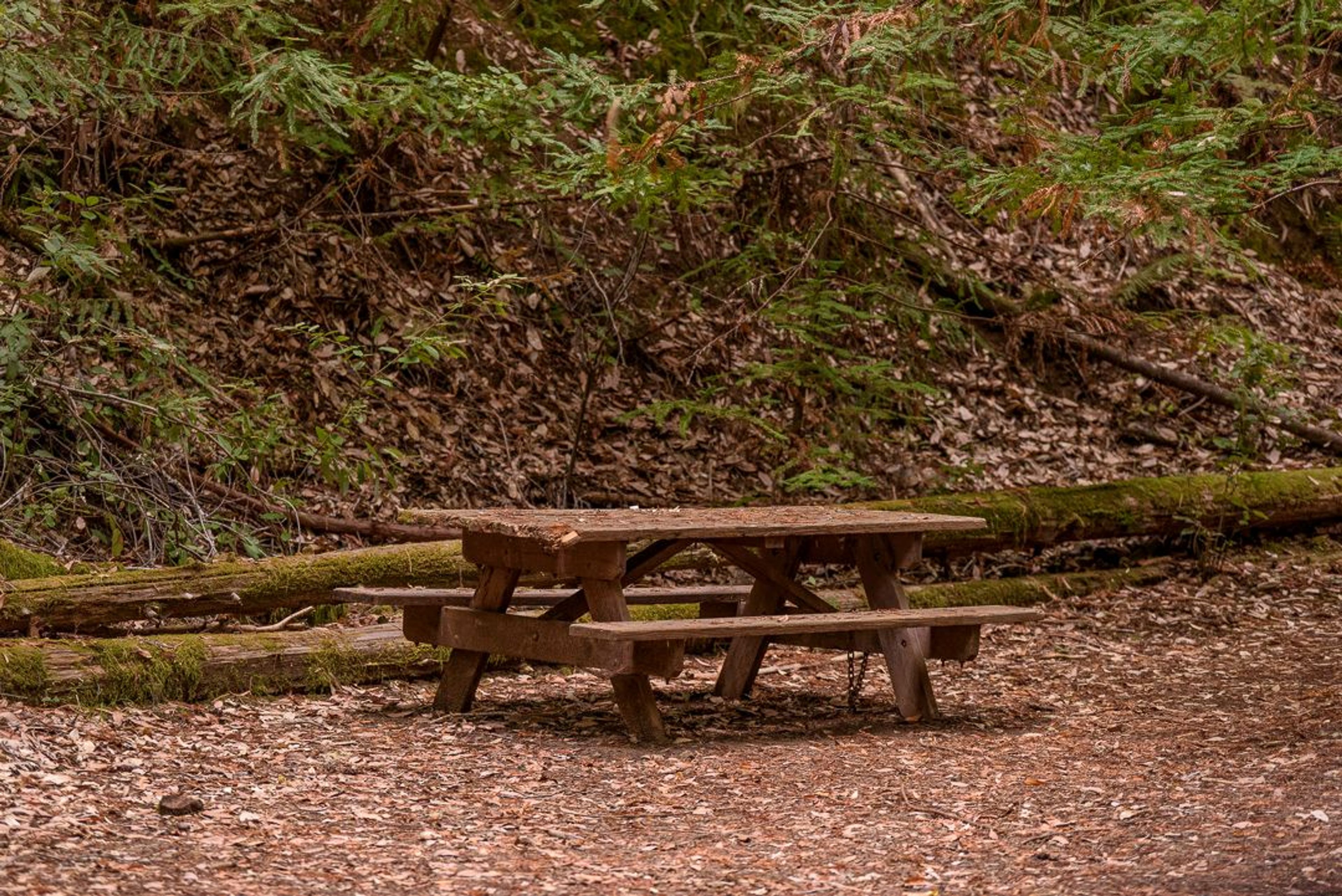 Image of California State Park