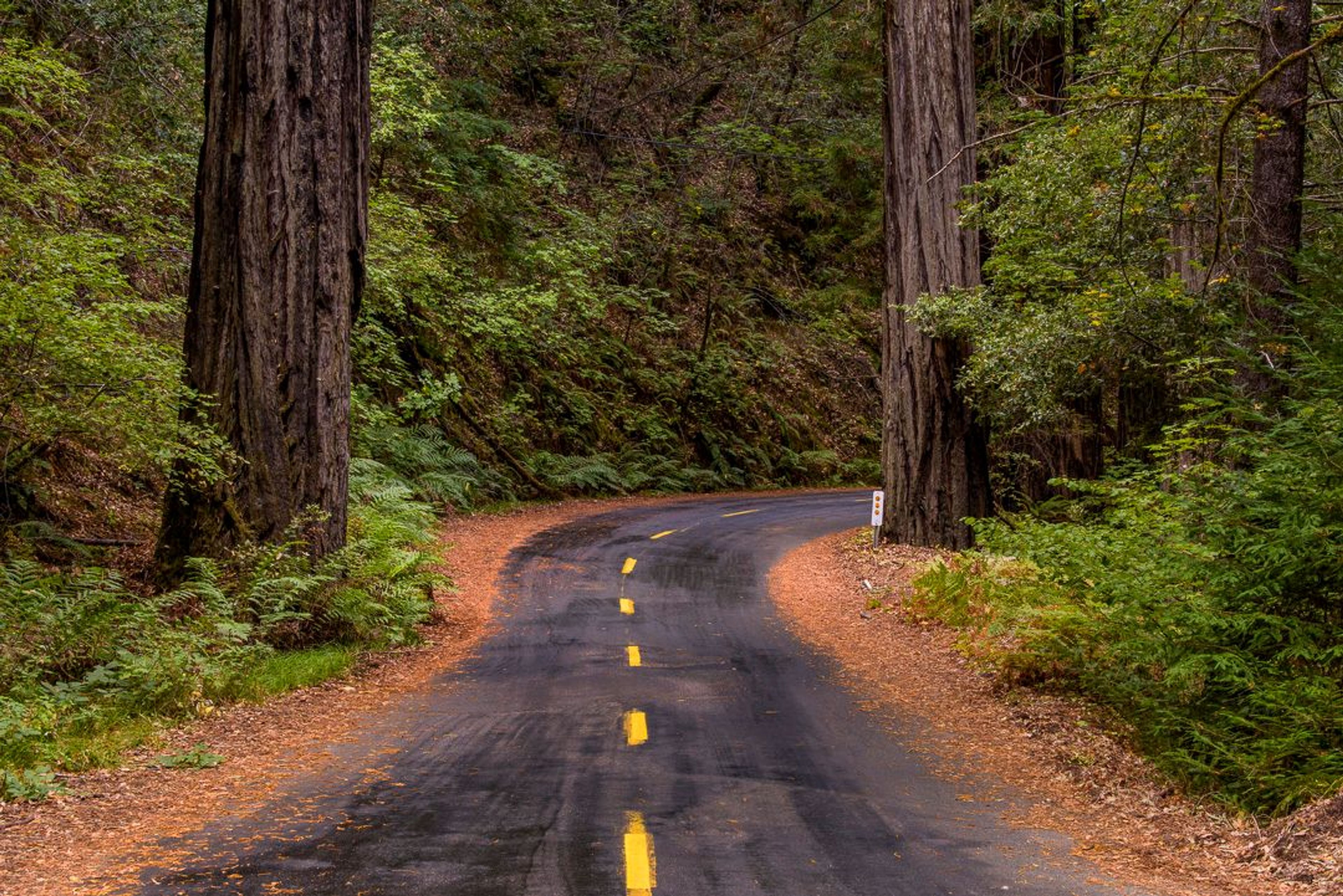 Image of California State Park