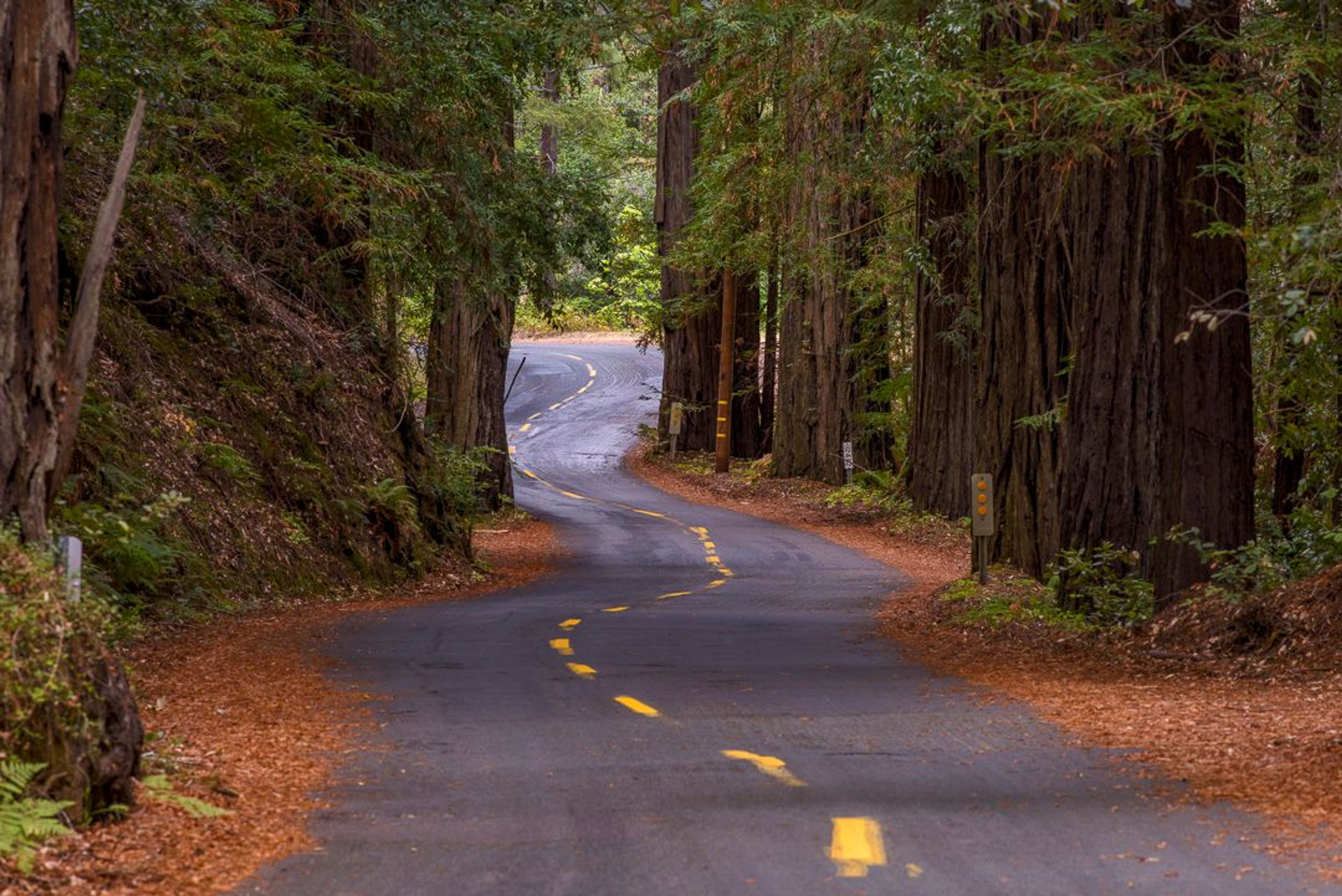 Image of California State Park