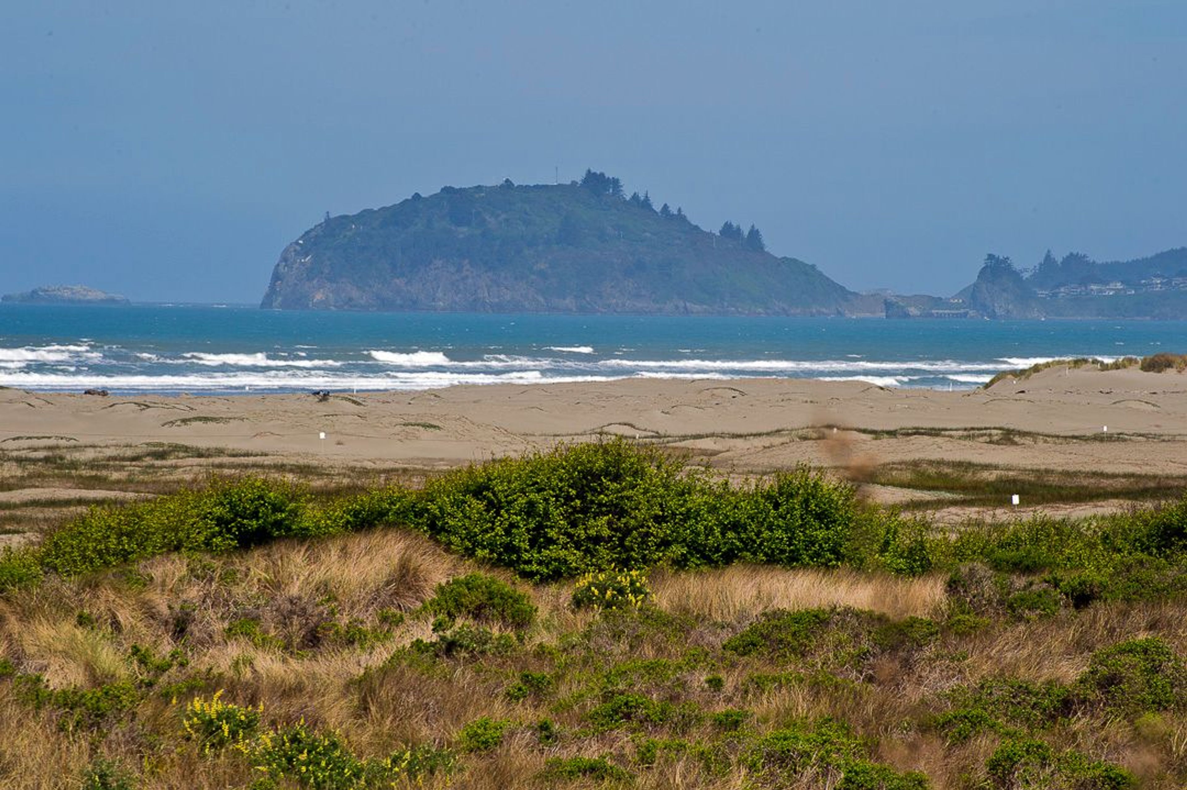 Image of California State Park