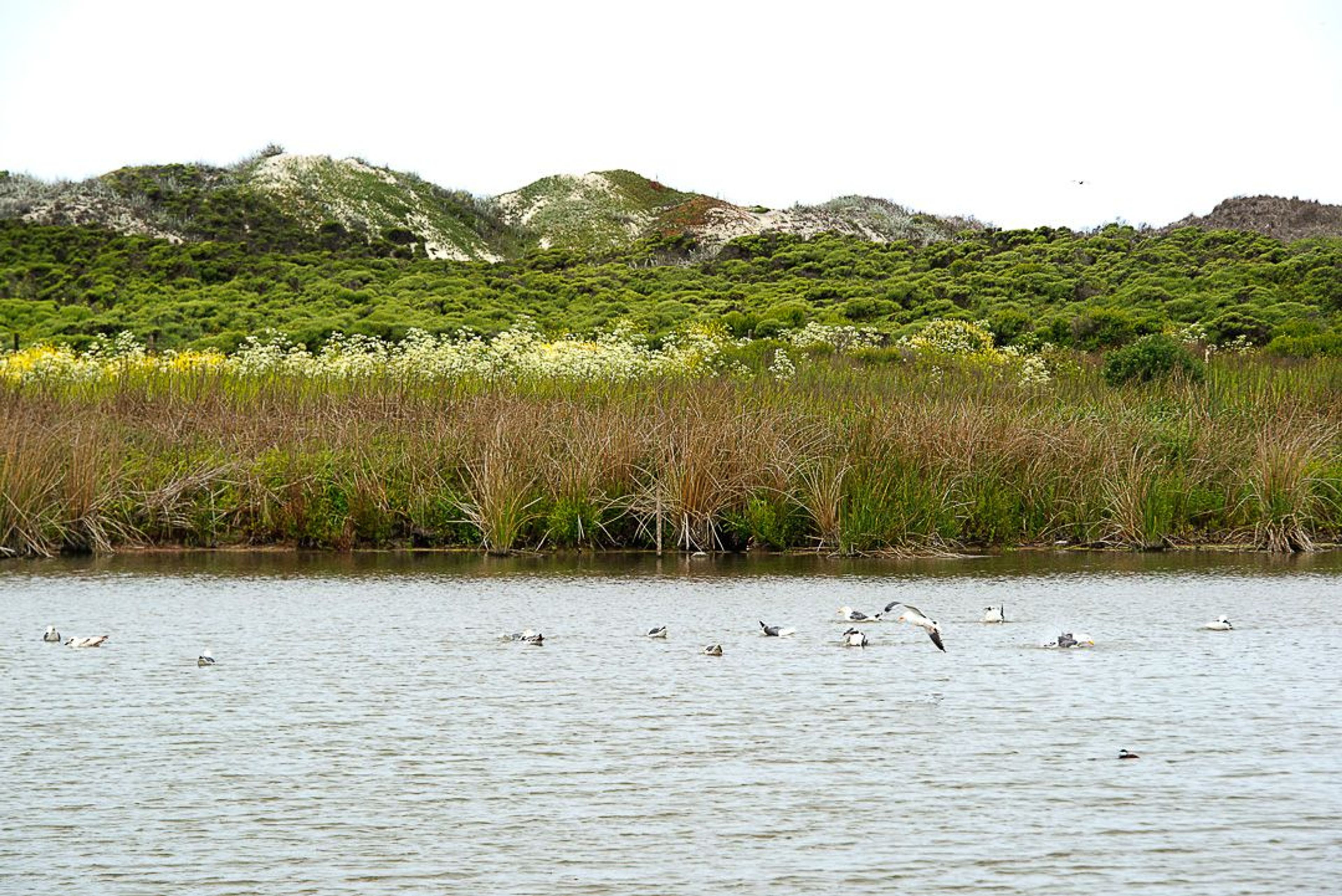 Image of California State Park