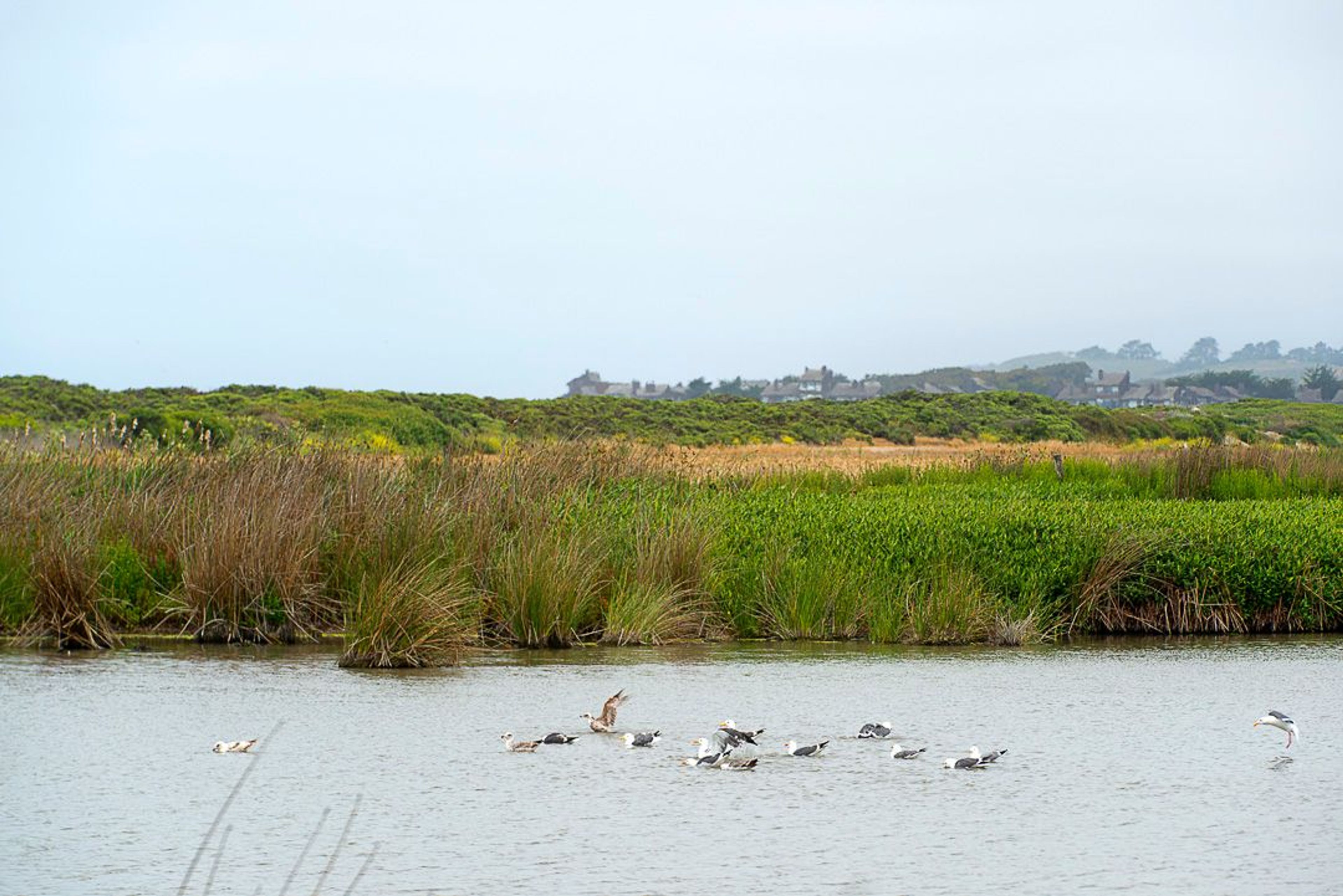 Image of California State Park