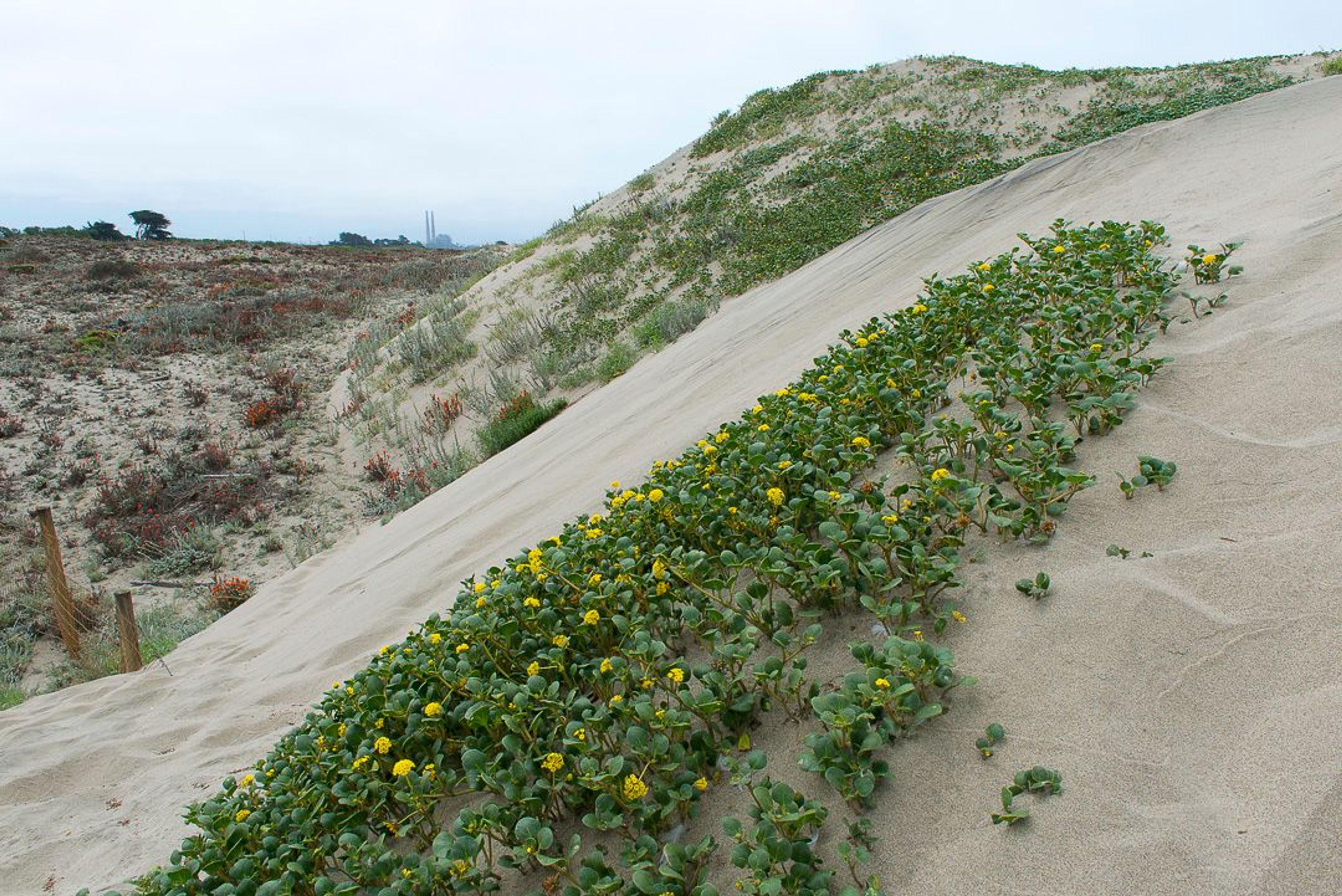 Image of California State Park