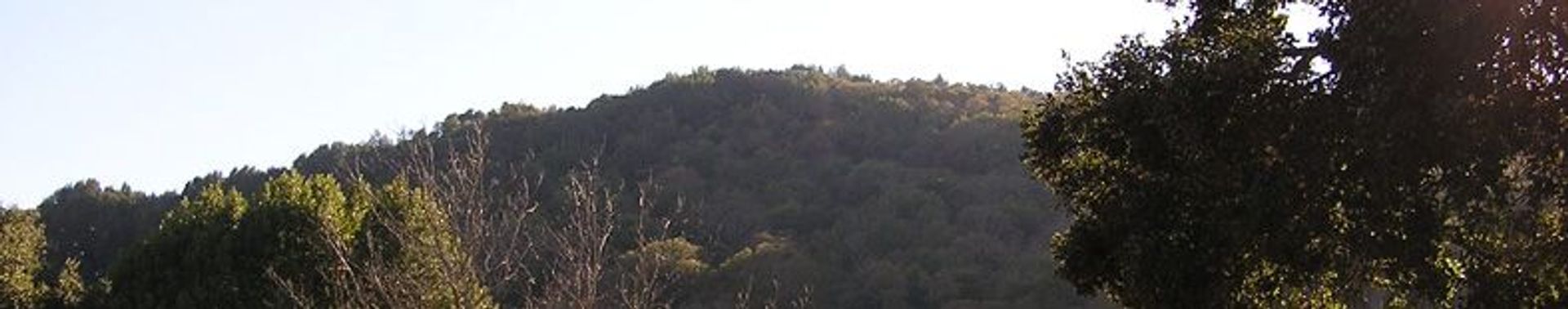 Image of California State Park